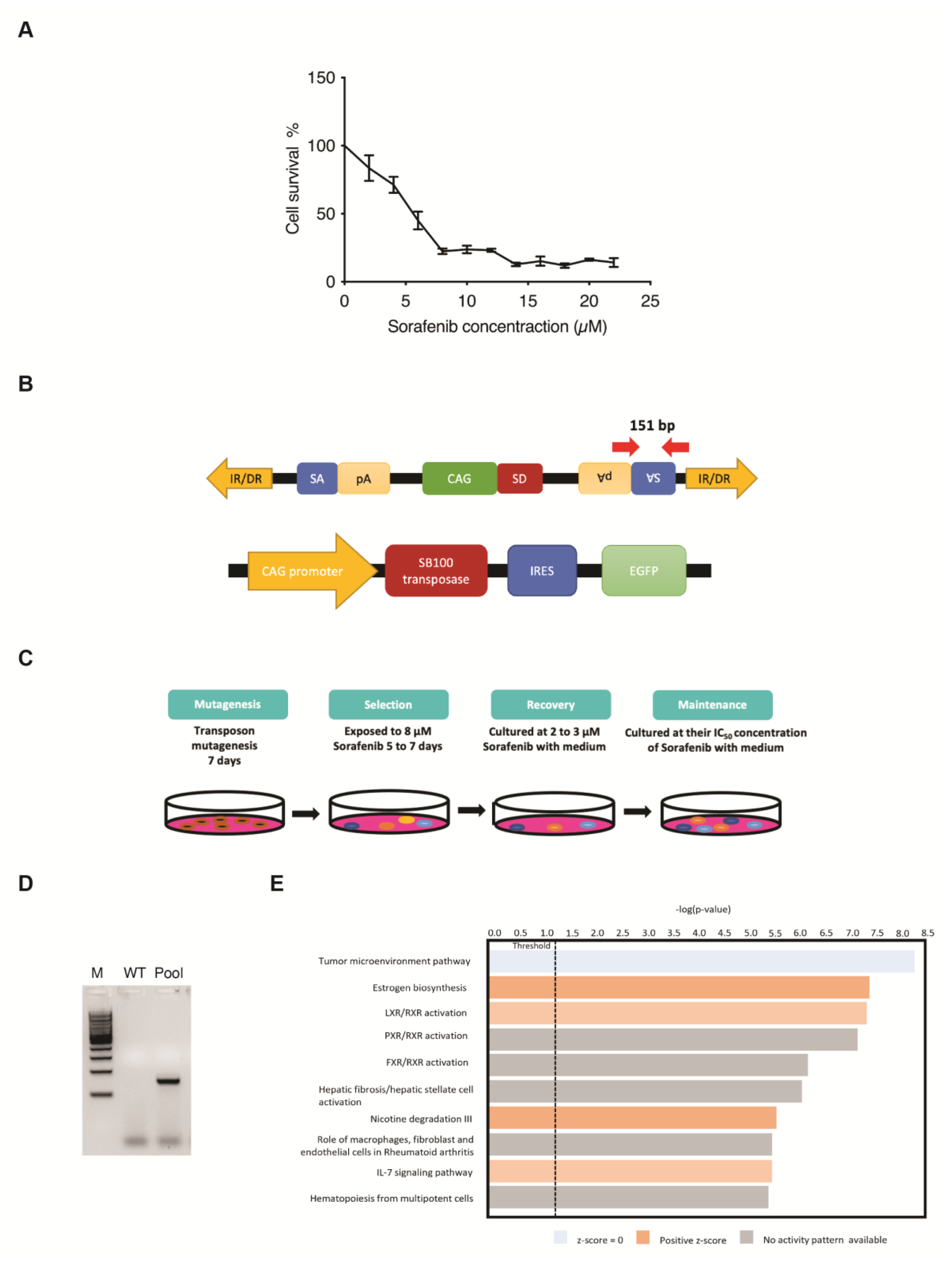 Cancers 15 05280 g001