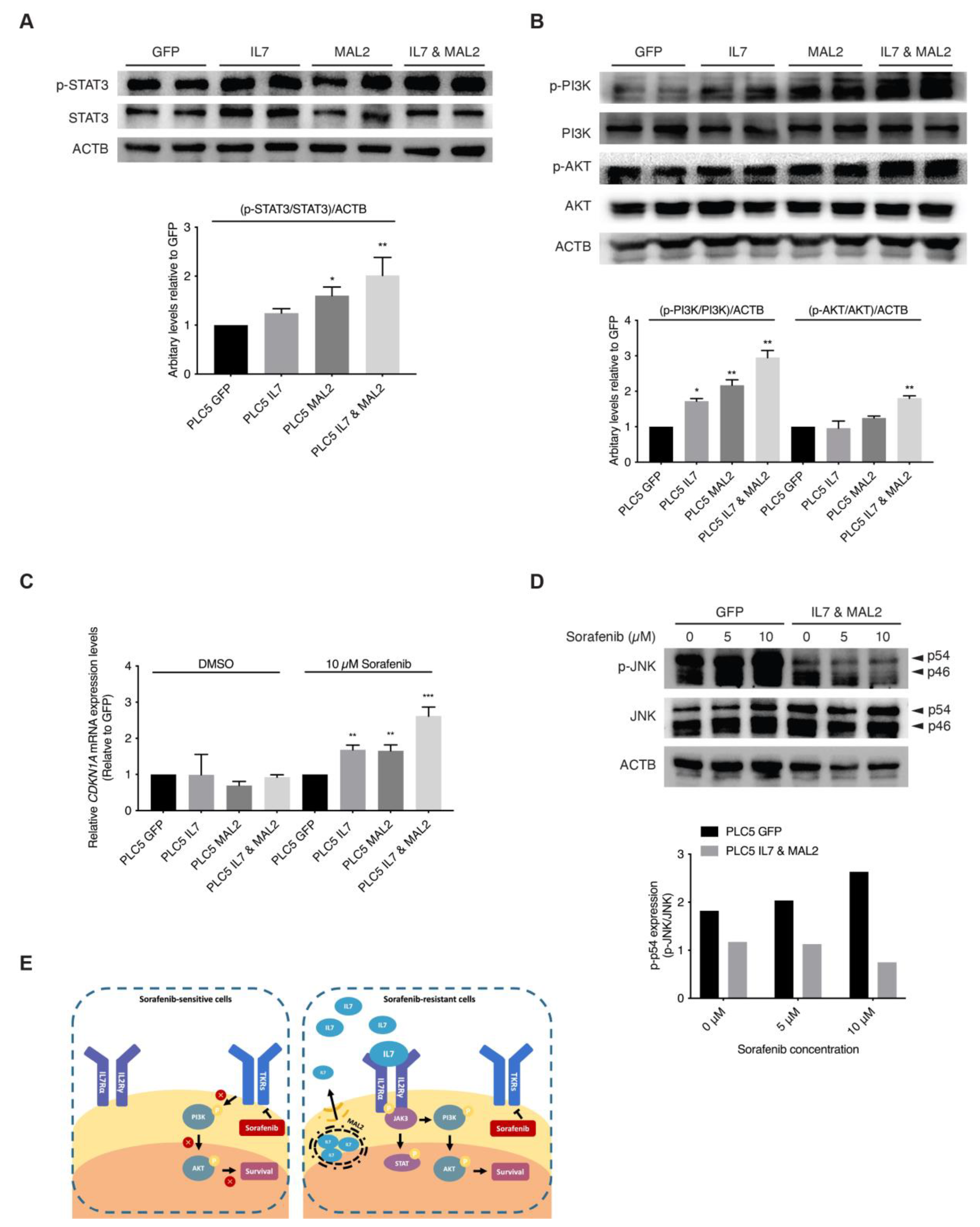 Cancers 15 05280 g003