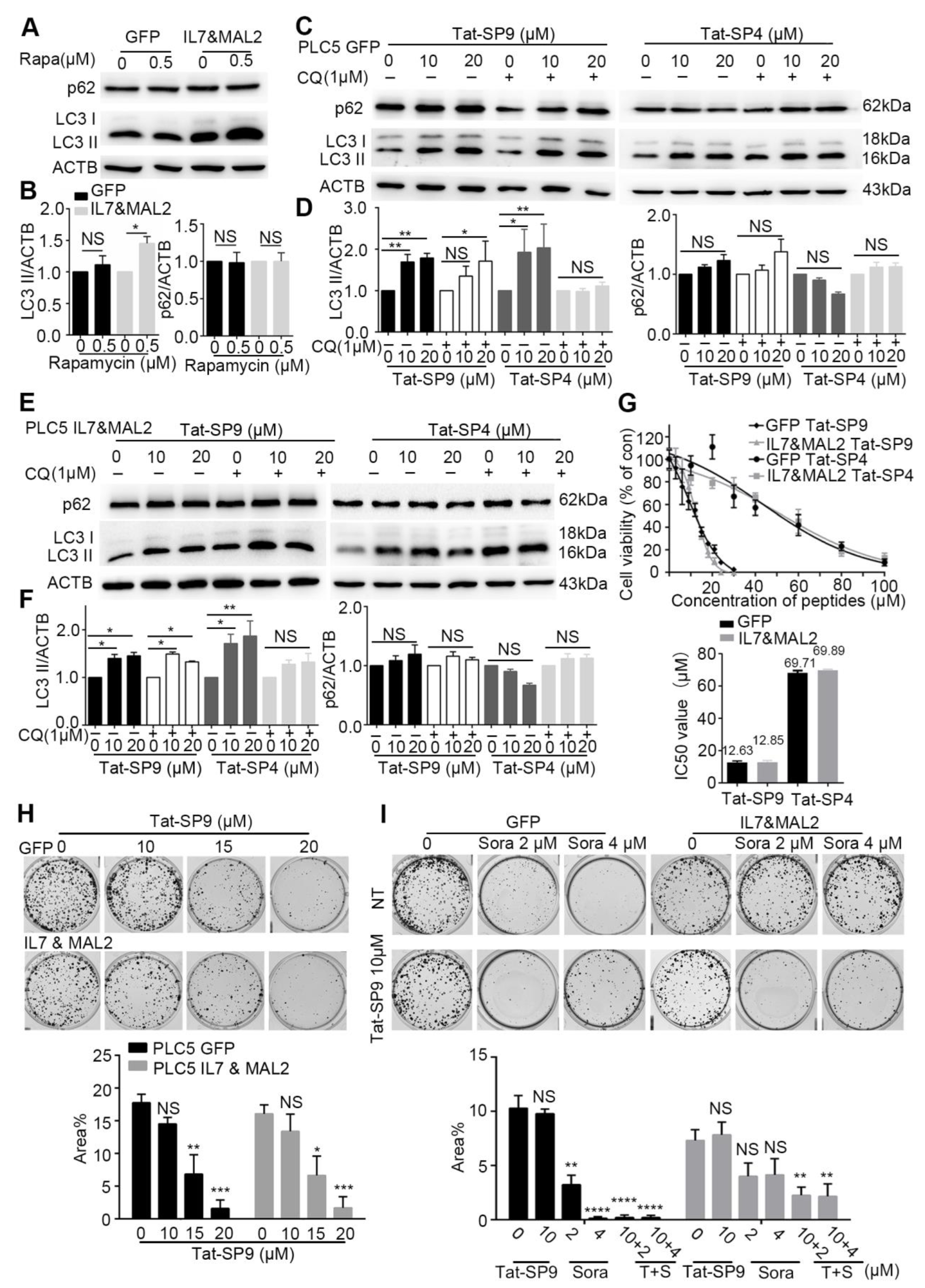 Cancers 15 05280 g004