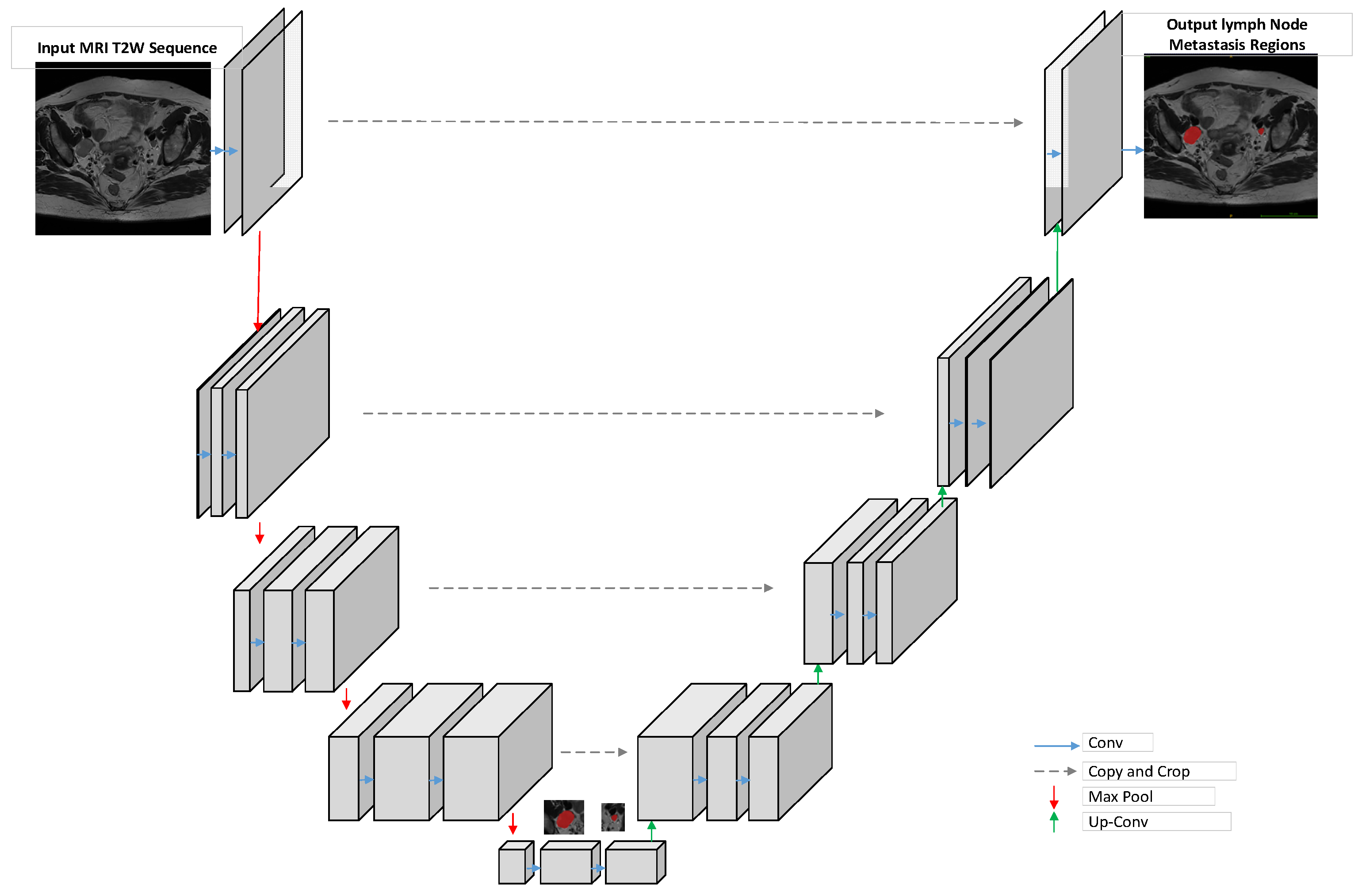 Cancers 15 05281 g003