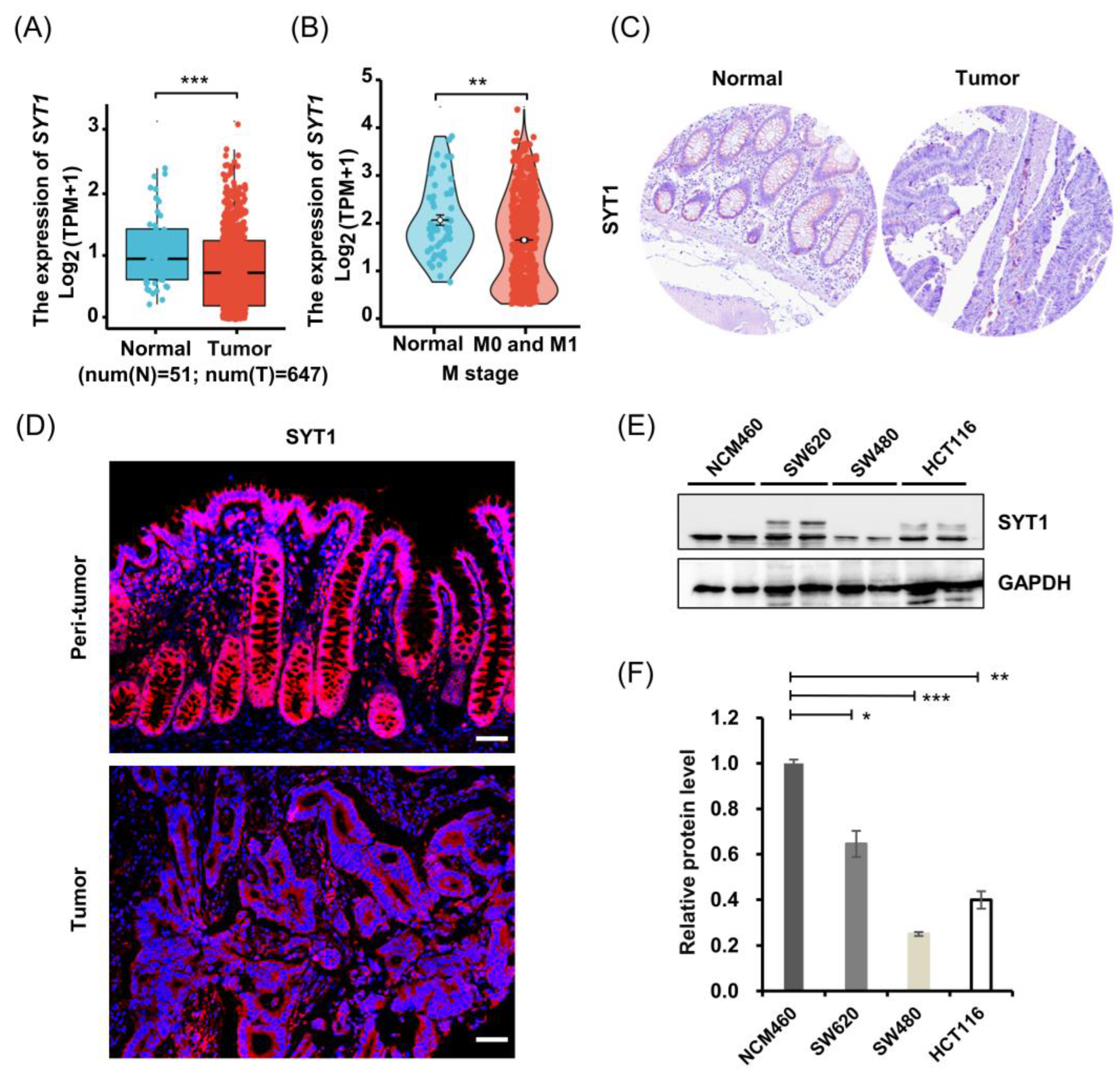 Cancers 15 05282 g001