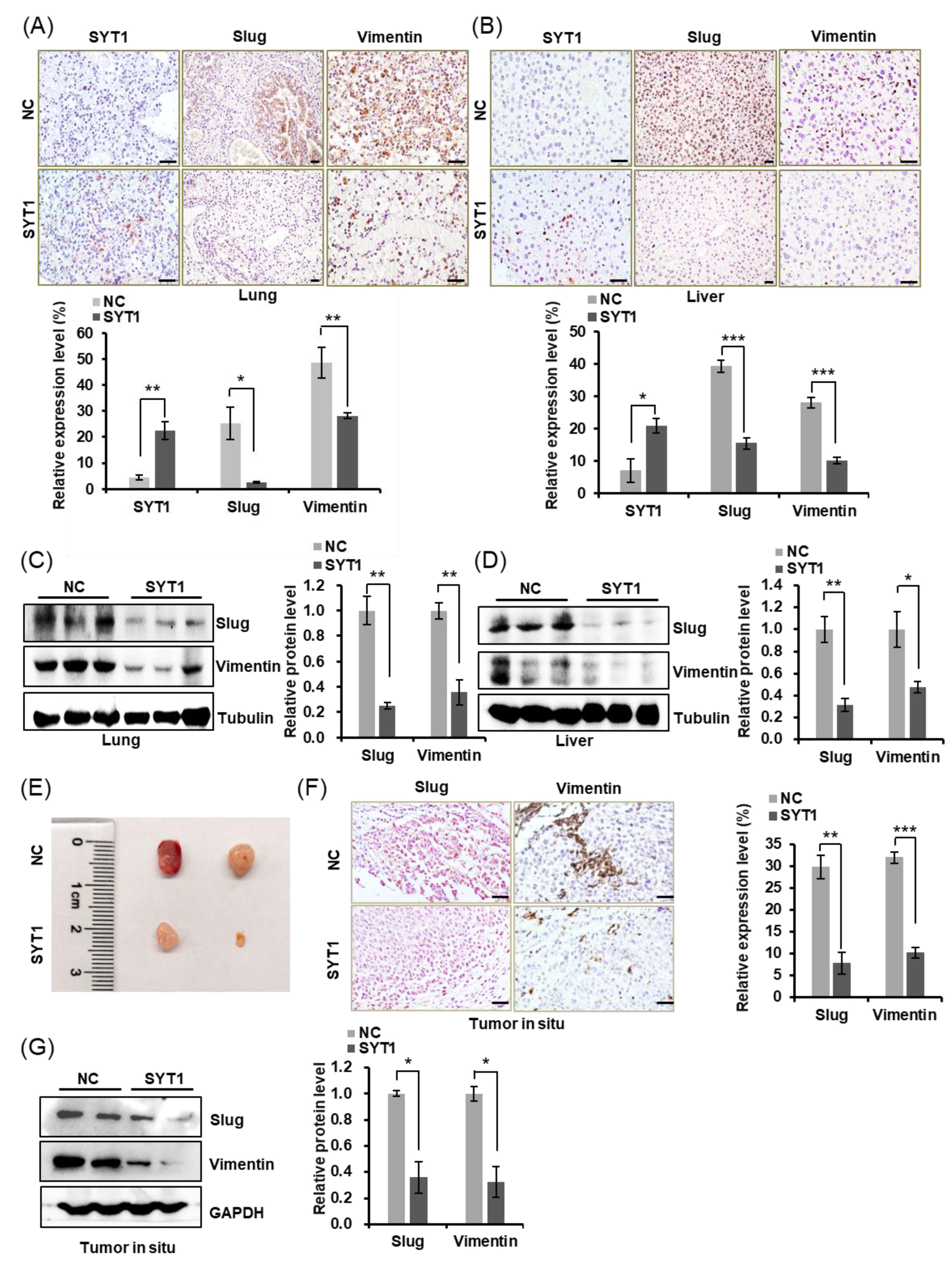 Cancers 15 05282 g005