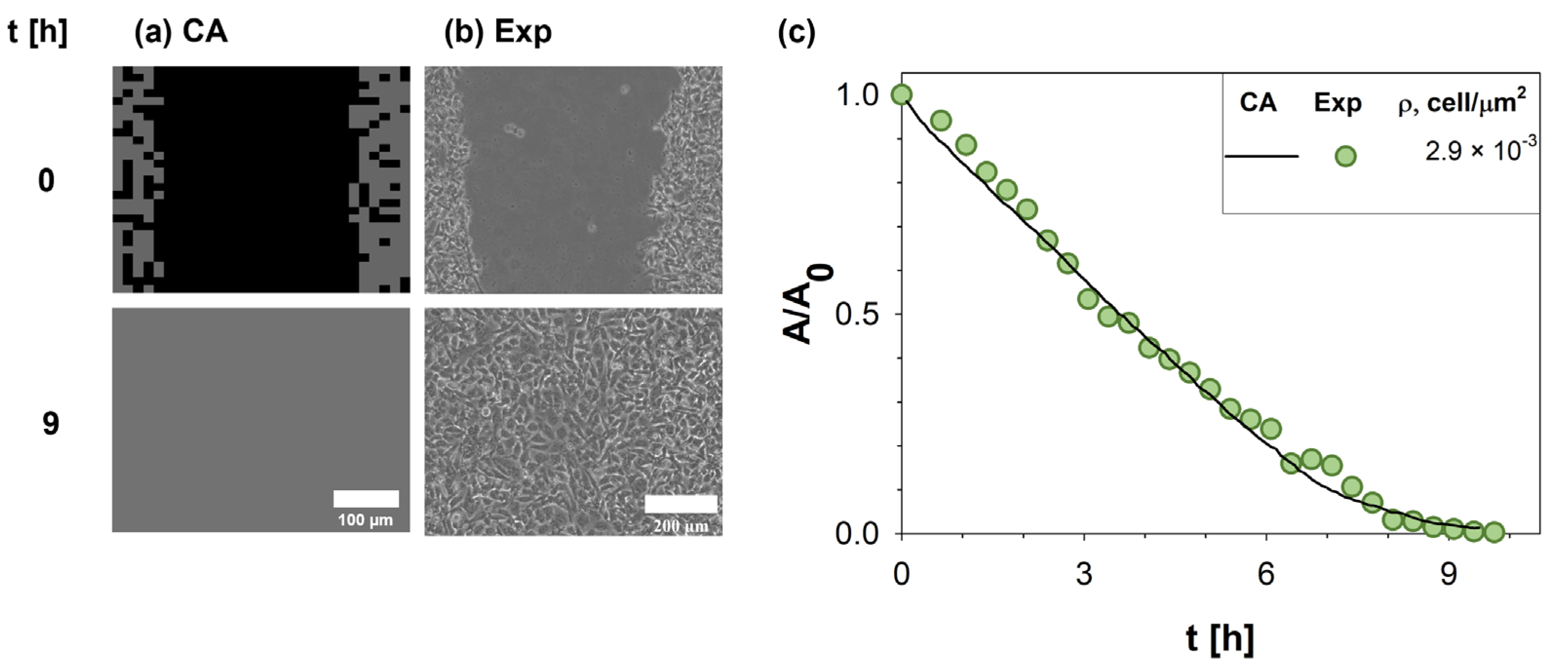 Cancers 15 05284 g003
