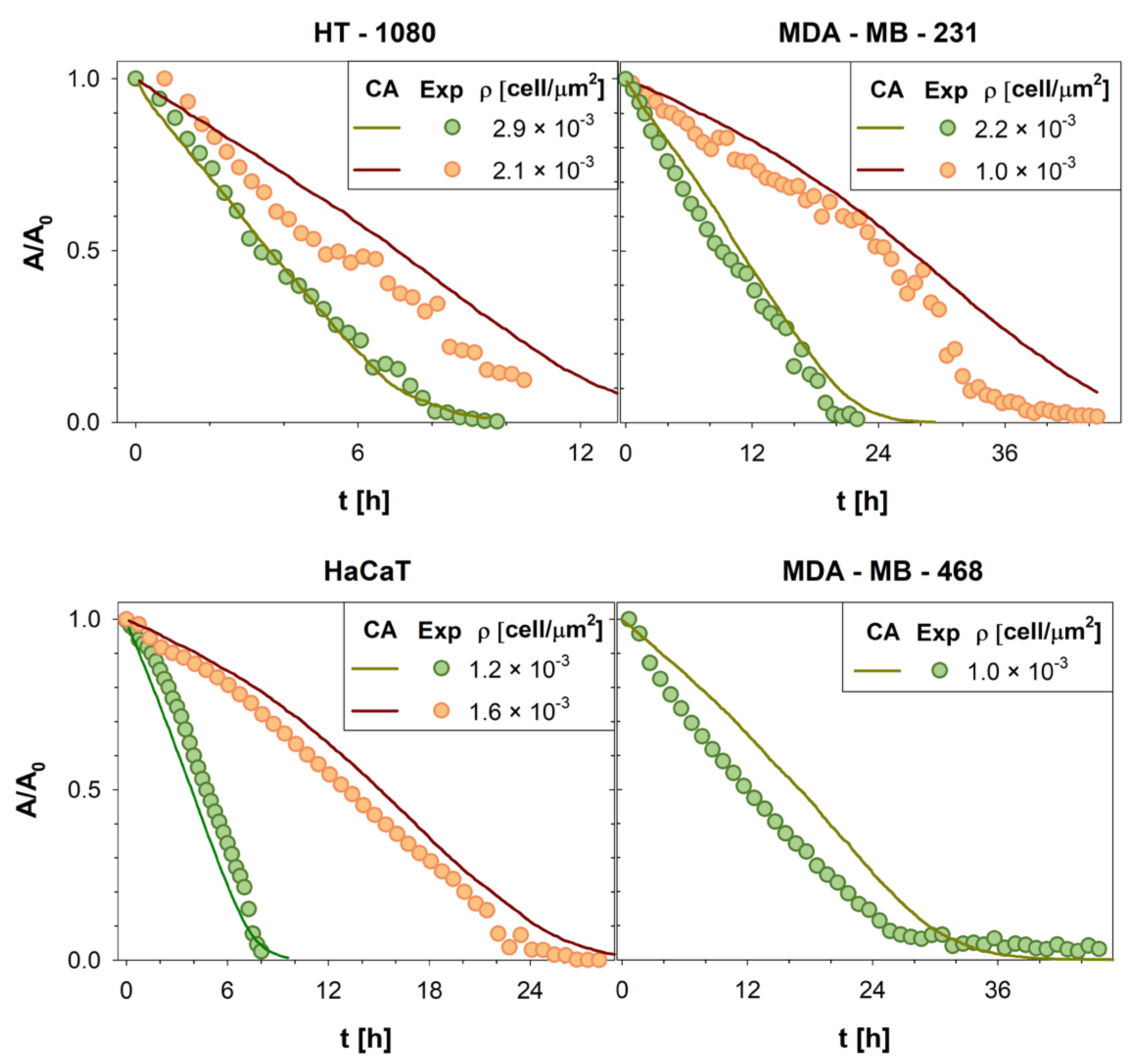 Cancers 15 05284 g004