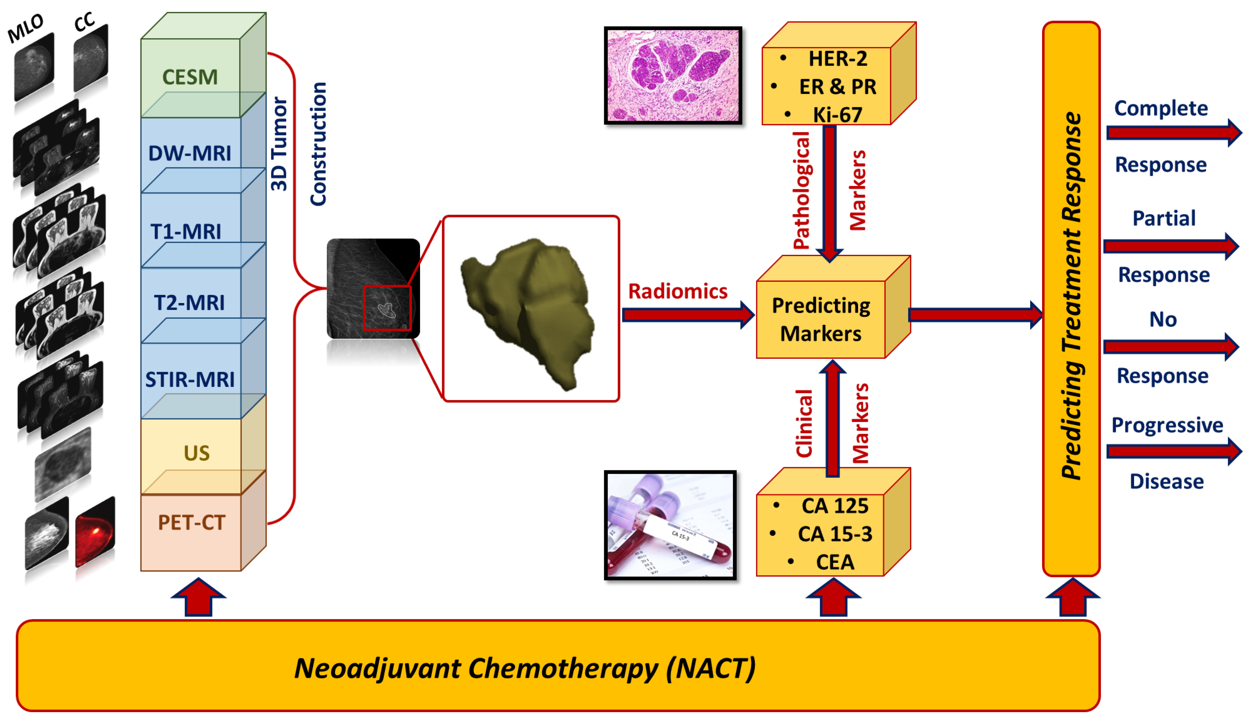 Cancers 15 05288 g001