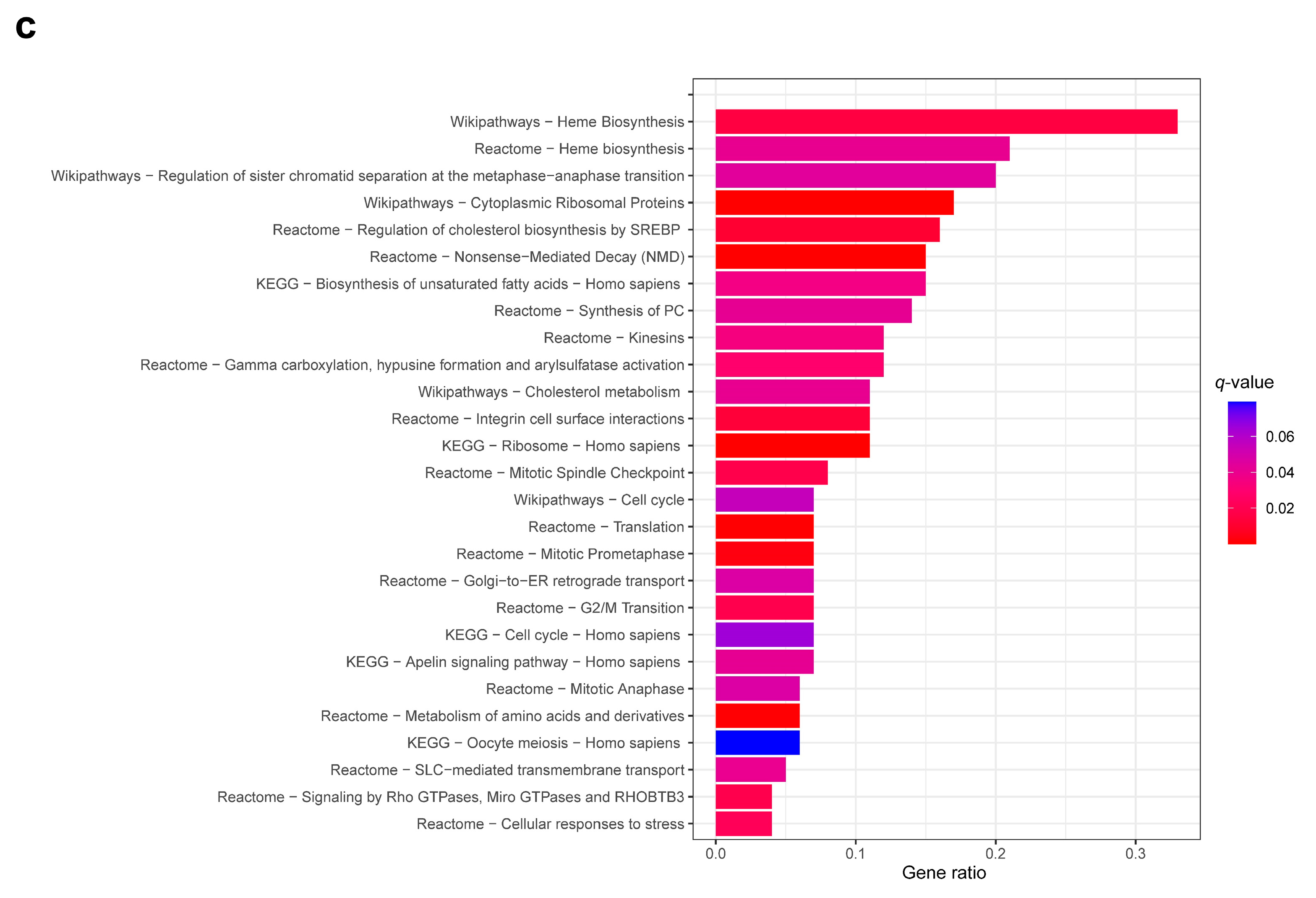Cancers 15 05289 g002c
