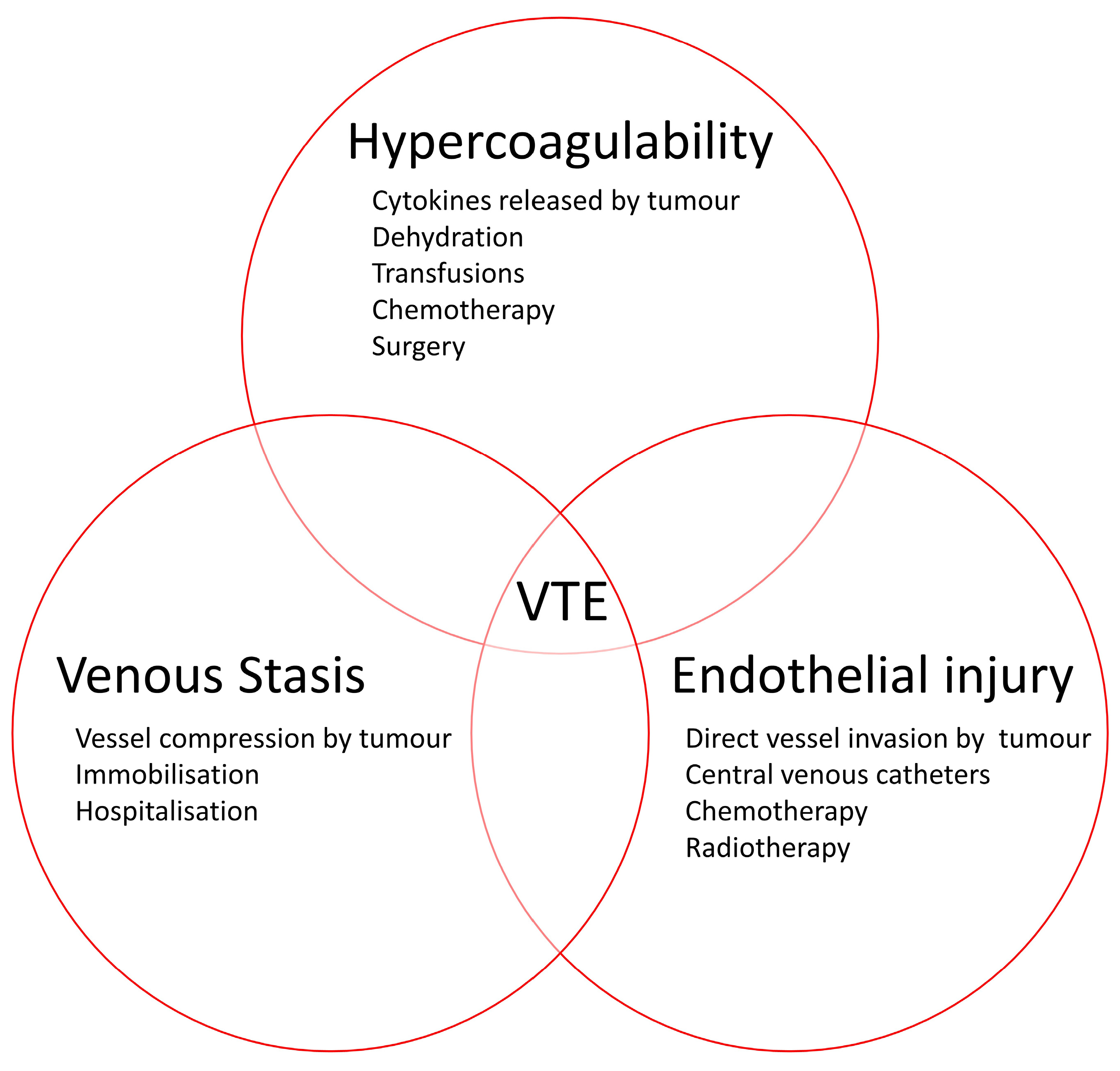 Cancers 15 05293 g001