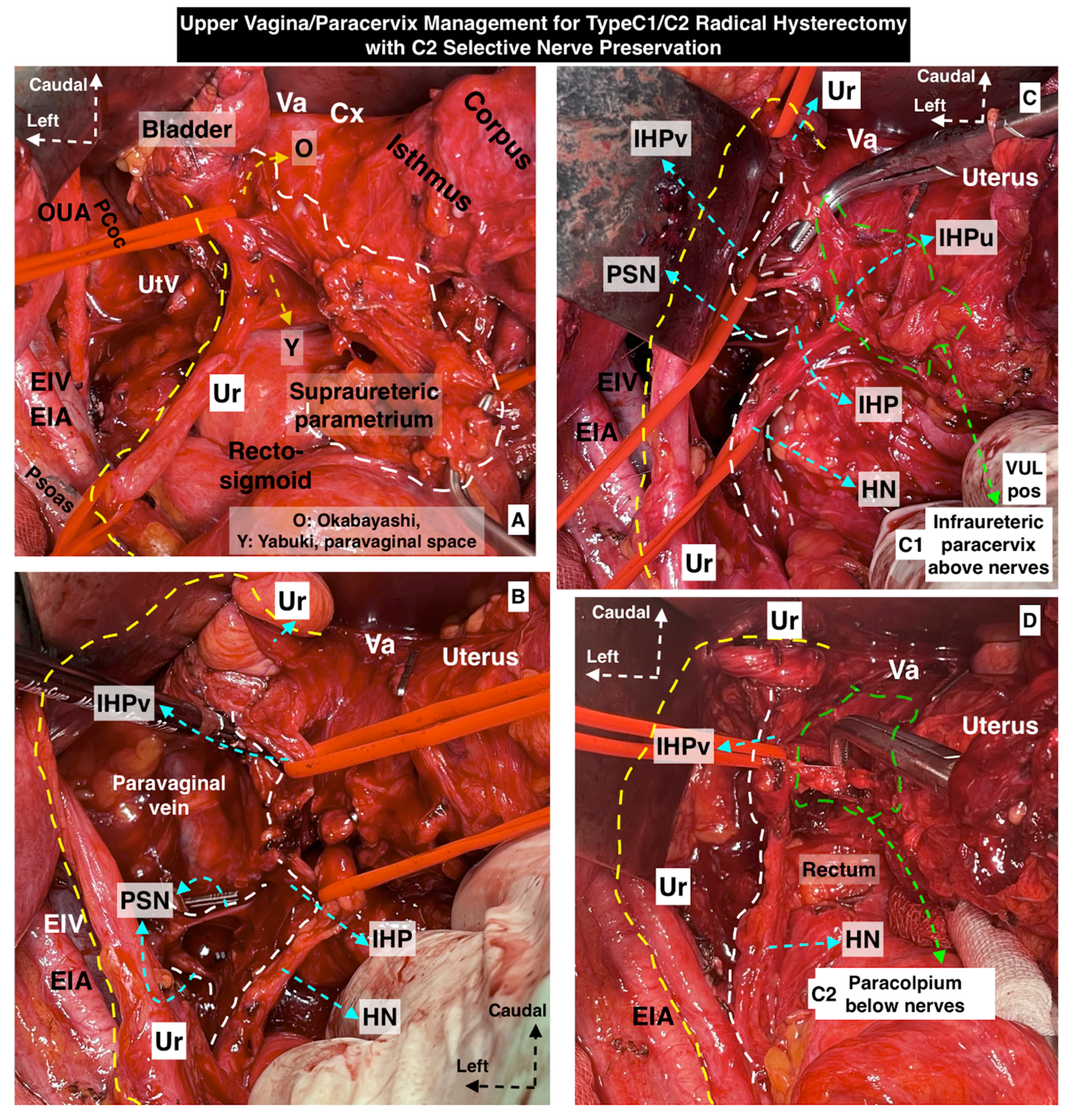 Cancers 15 05295 g006
