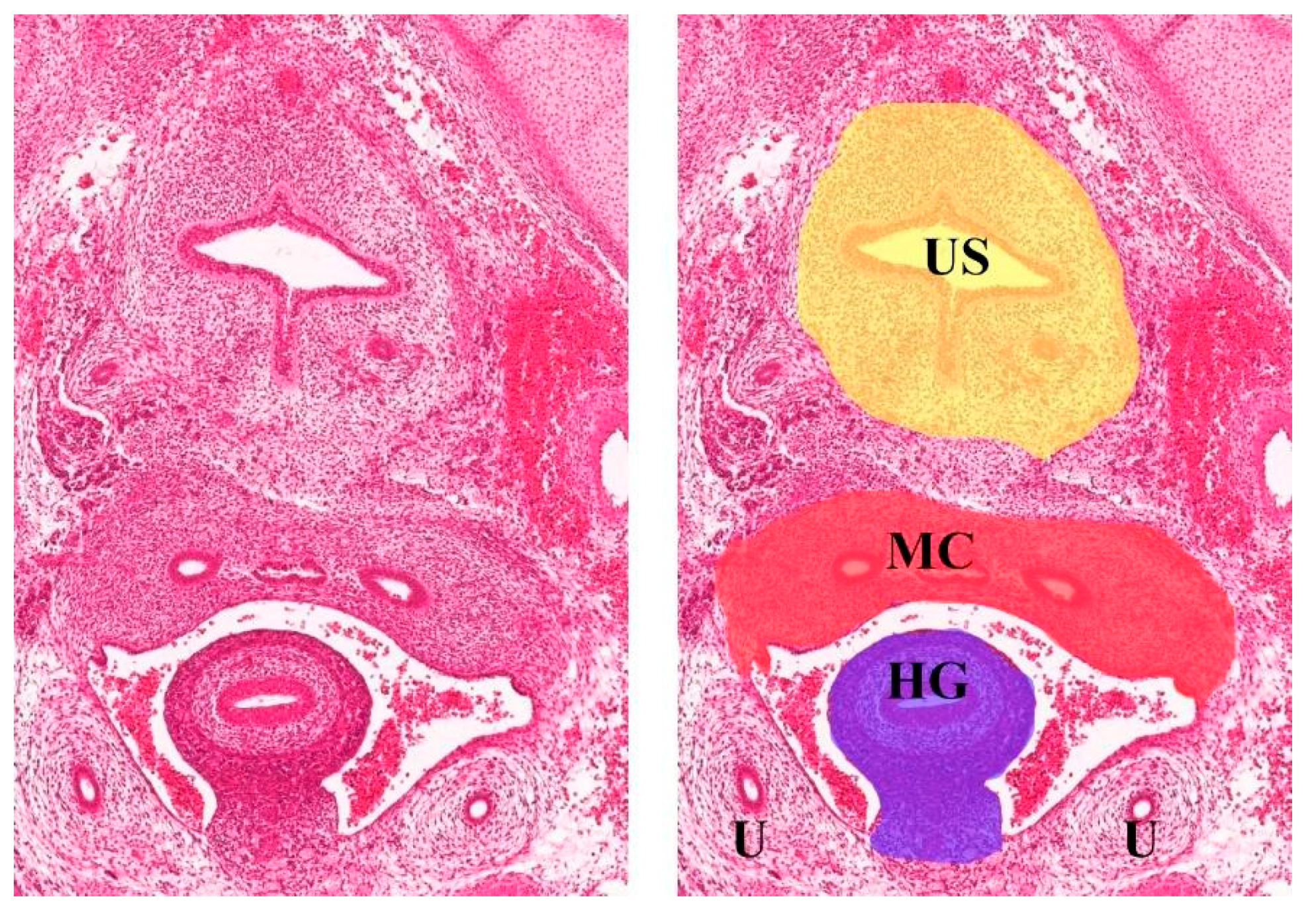 Cancers 15 05295 g007