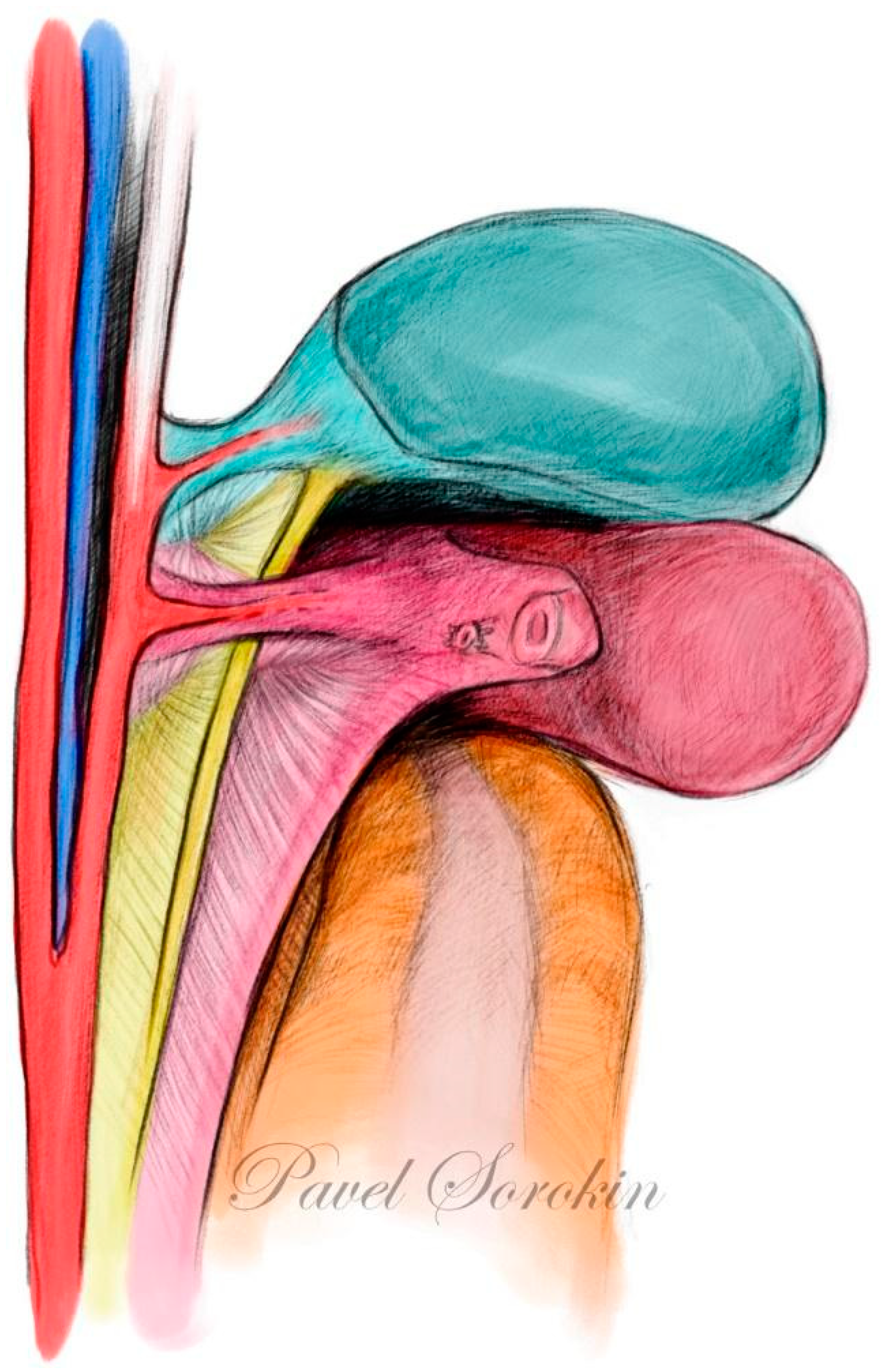 Cancers 15 05295 g010