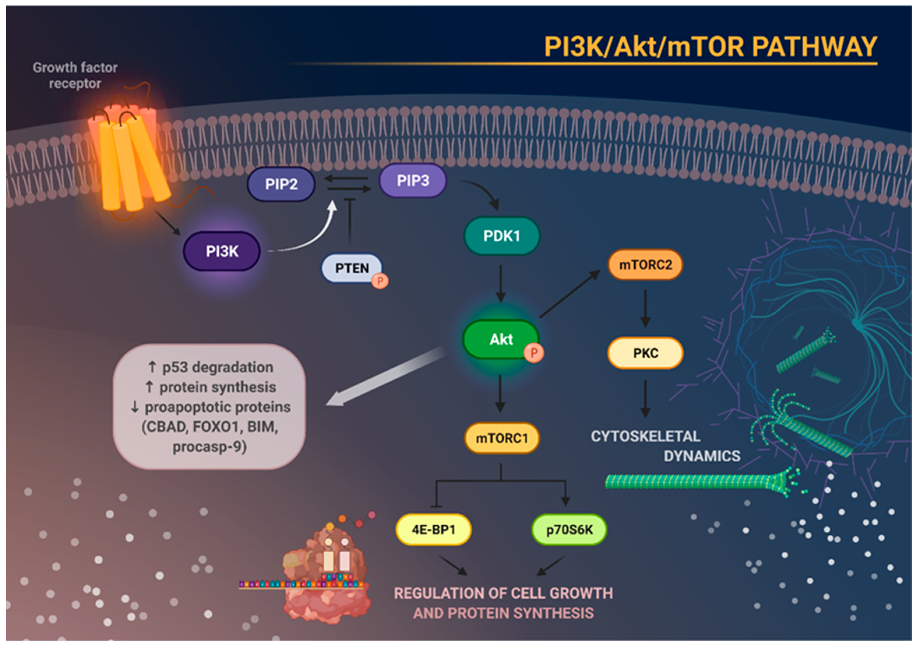 Cancers 15 05297 g001