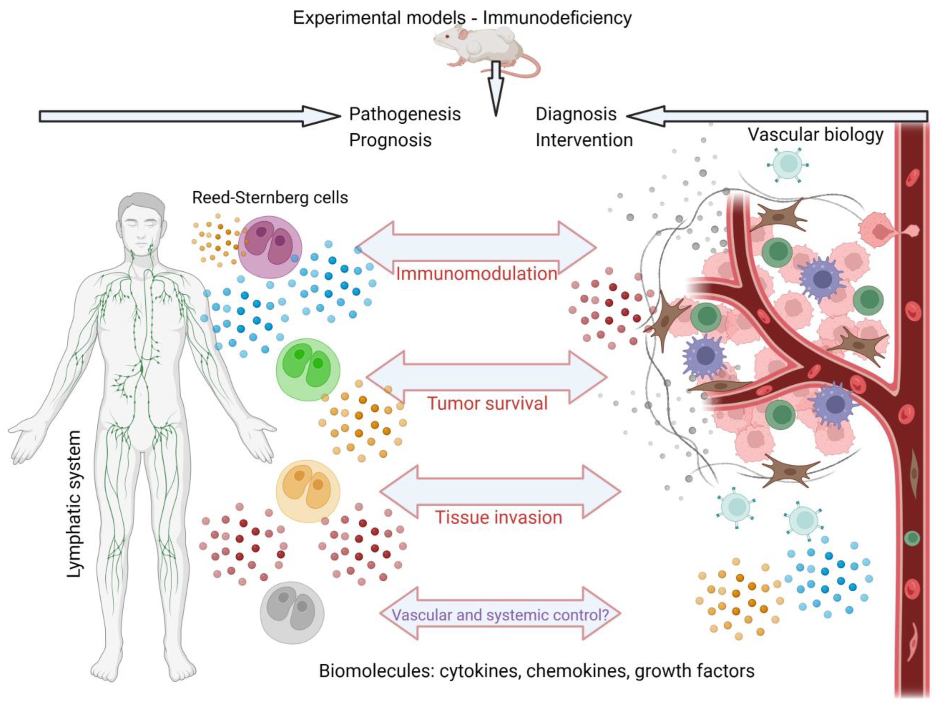 Cancers 15 05299 g002