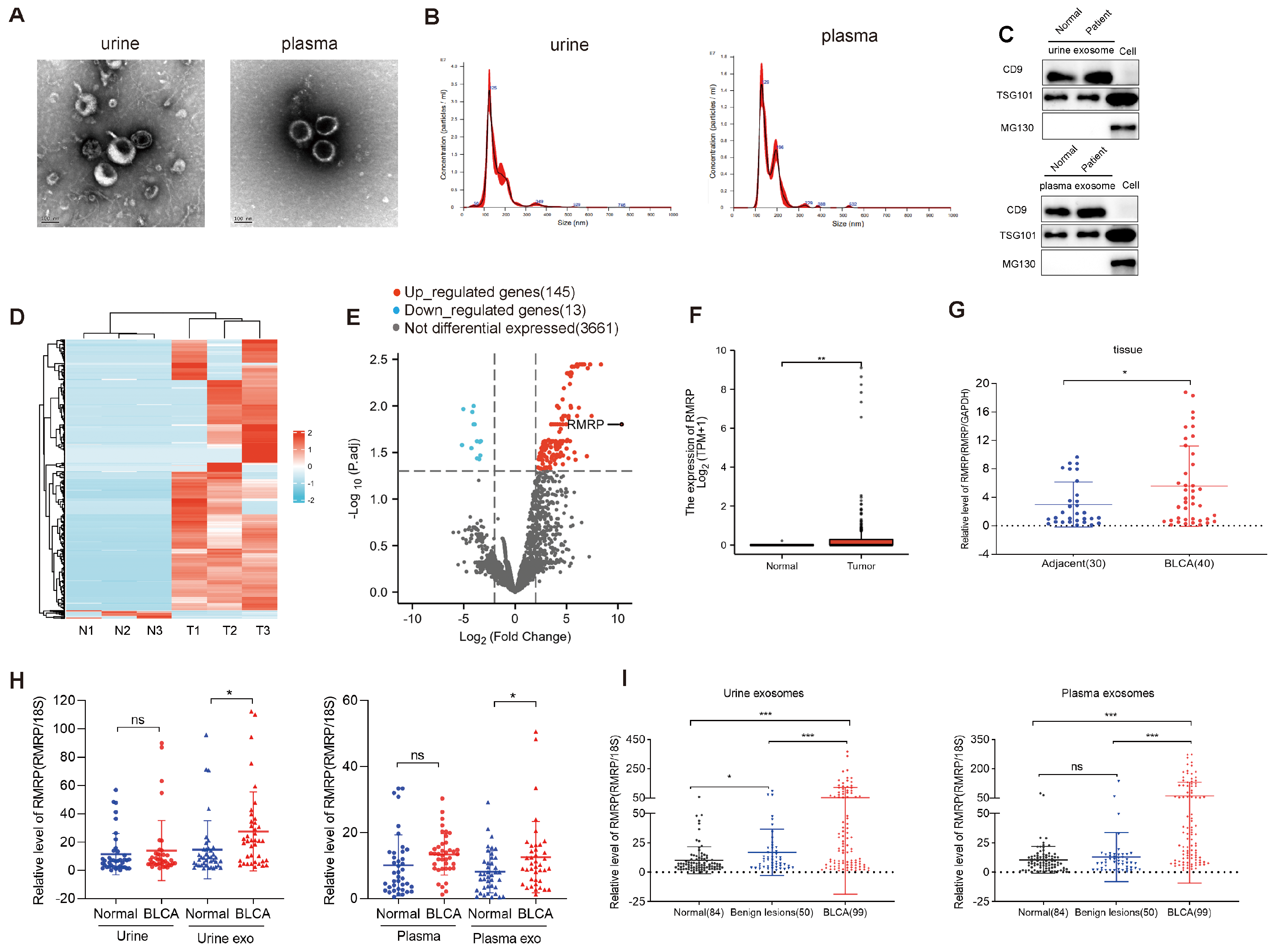 Cancers 15 05305 g001