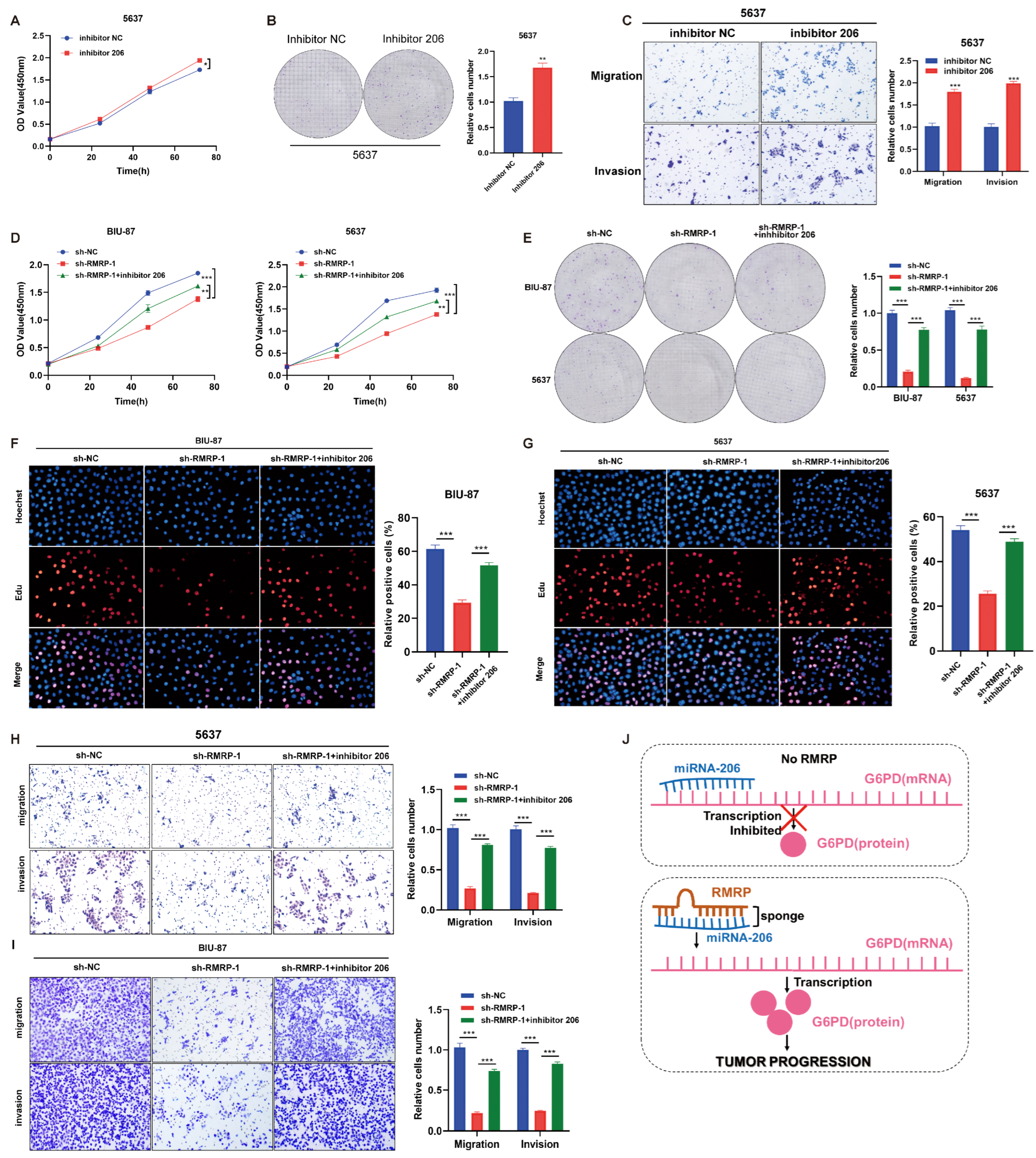 Cancers 15 05305 g006