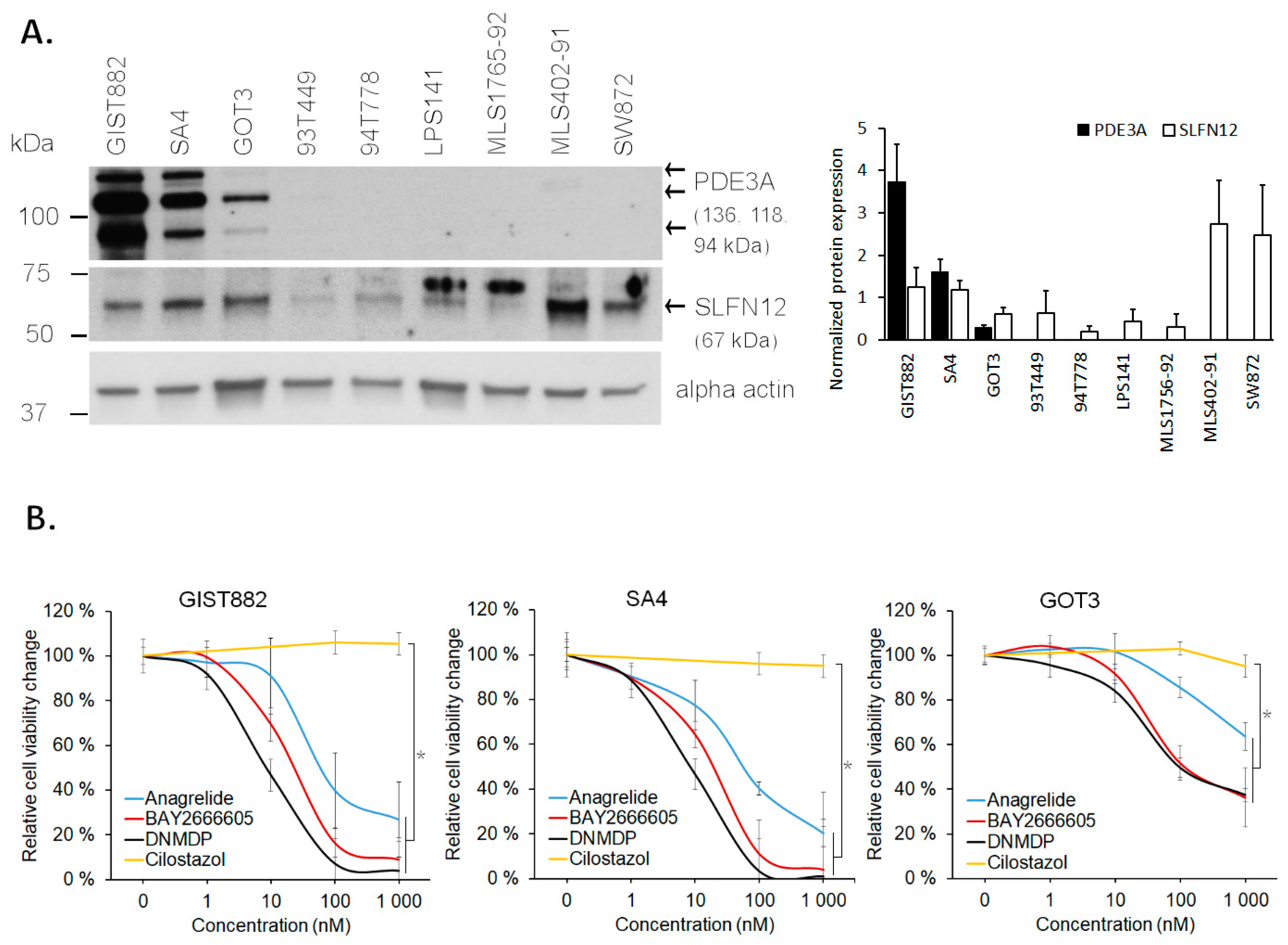 Cancers 15 05308 g004