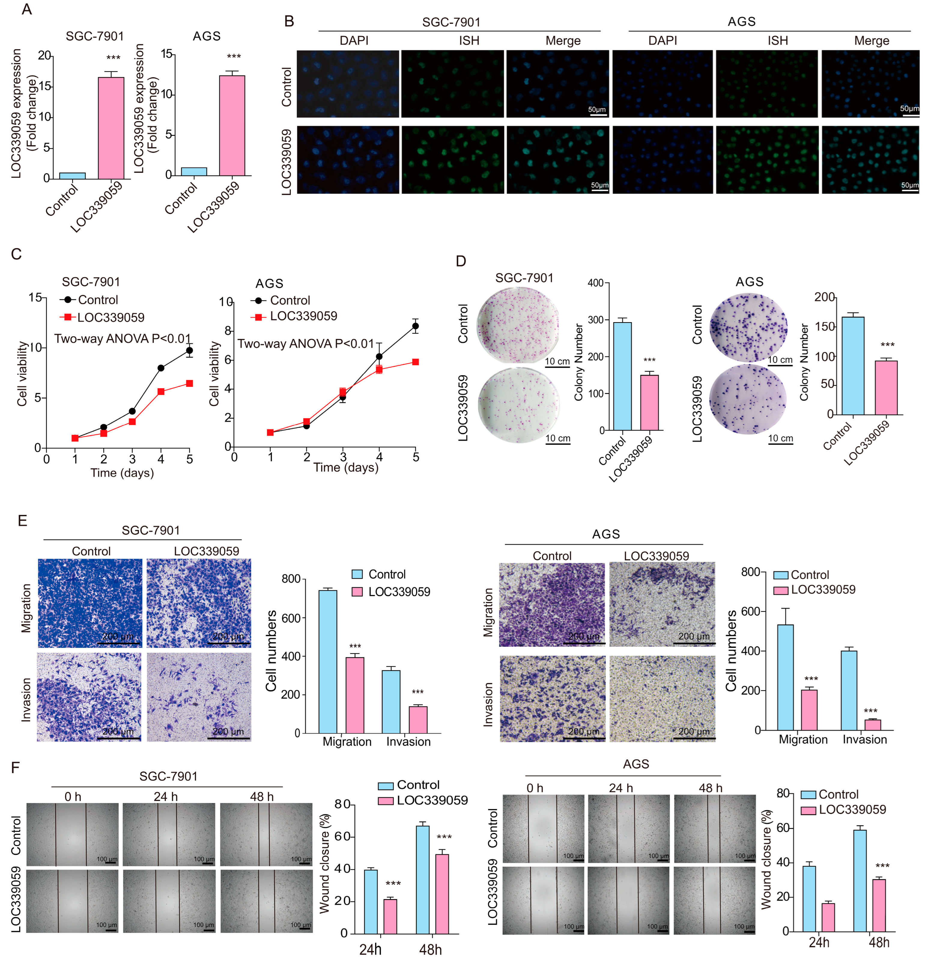 Cancers 15 05313 g002