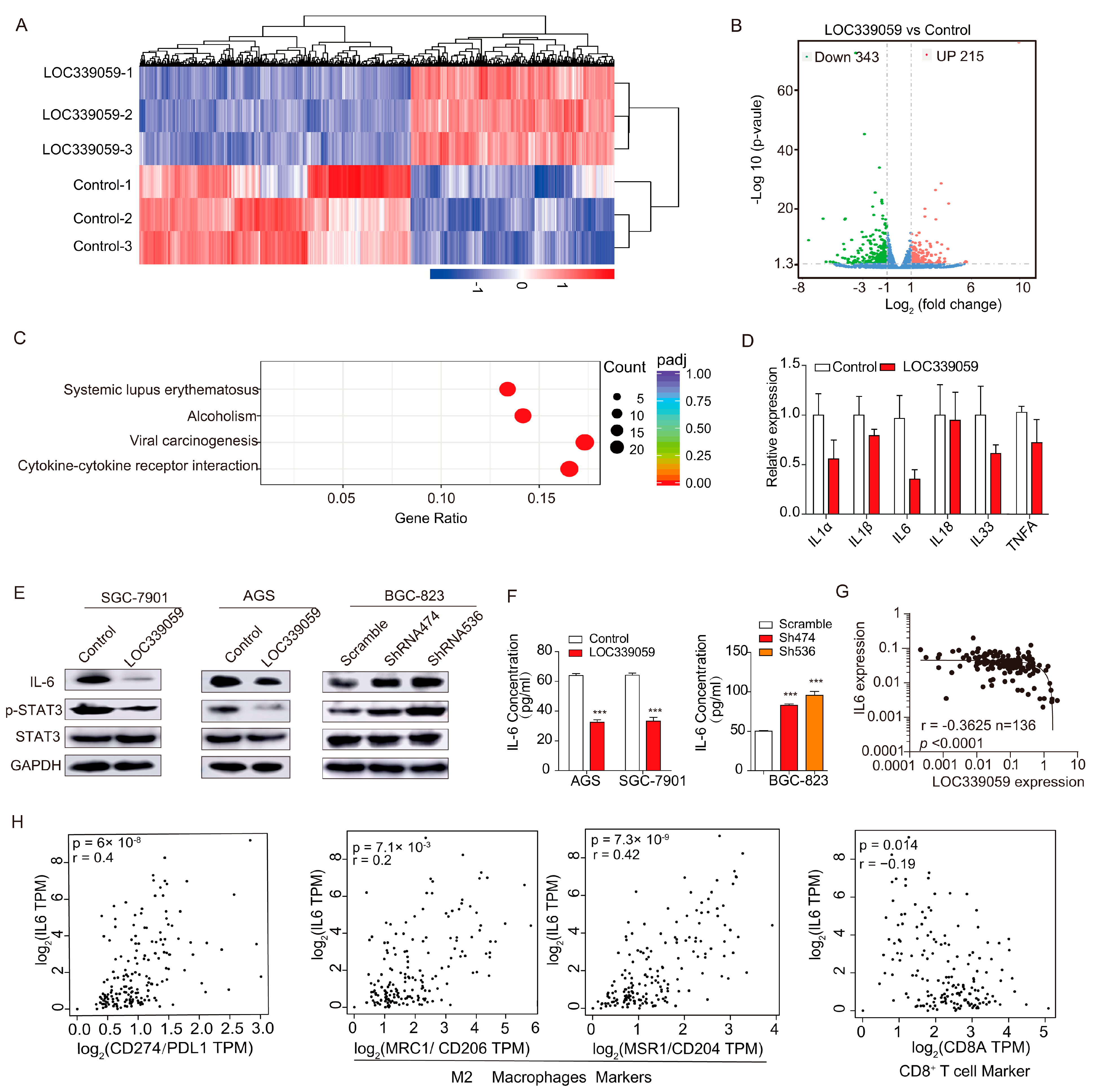 Cancers 15 05313 g005