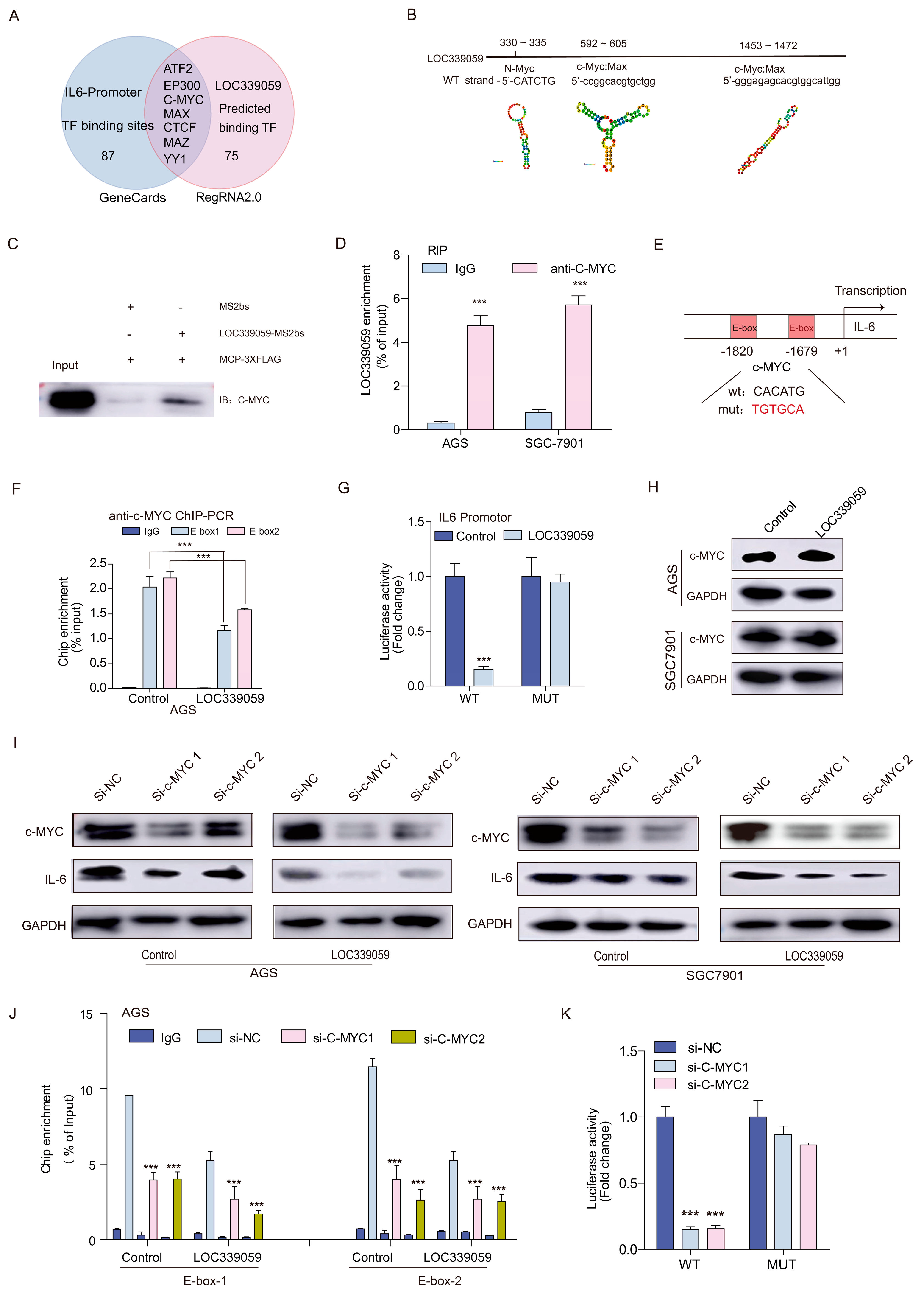 Cancers 15 05313 g007