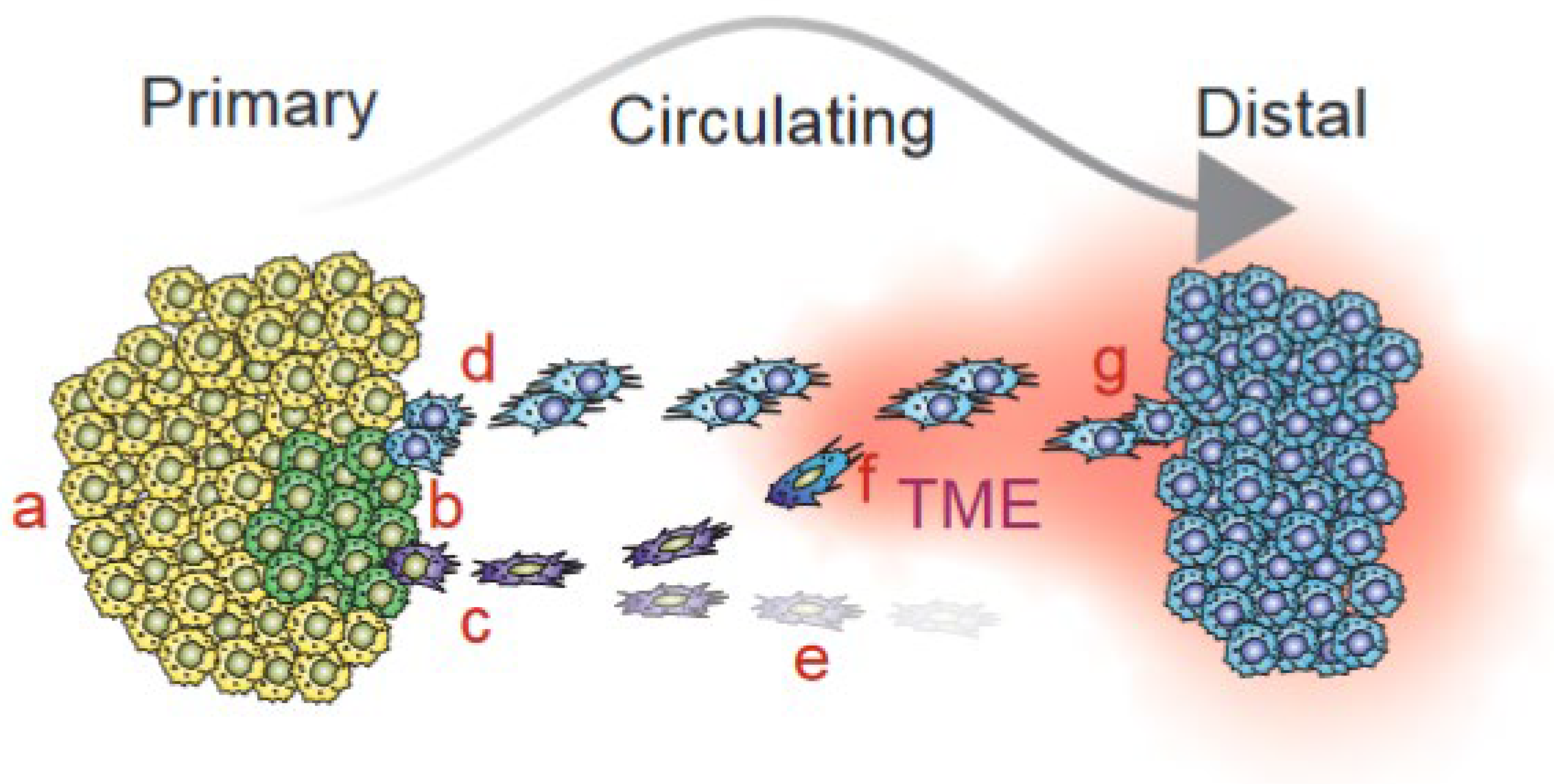 Cancers 15 05315 g001