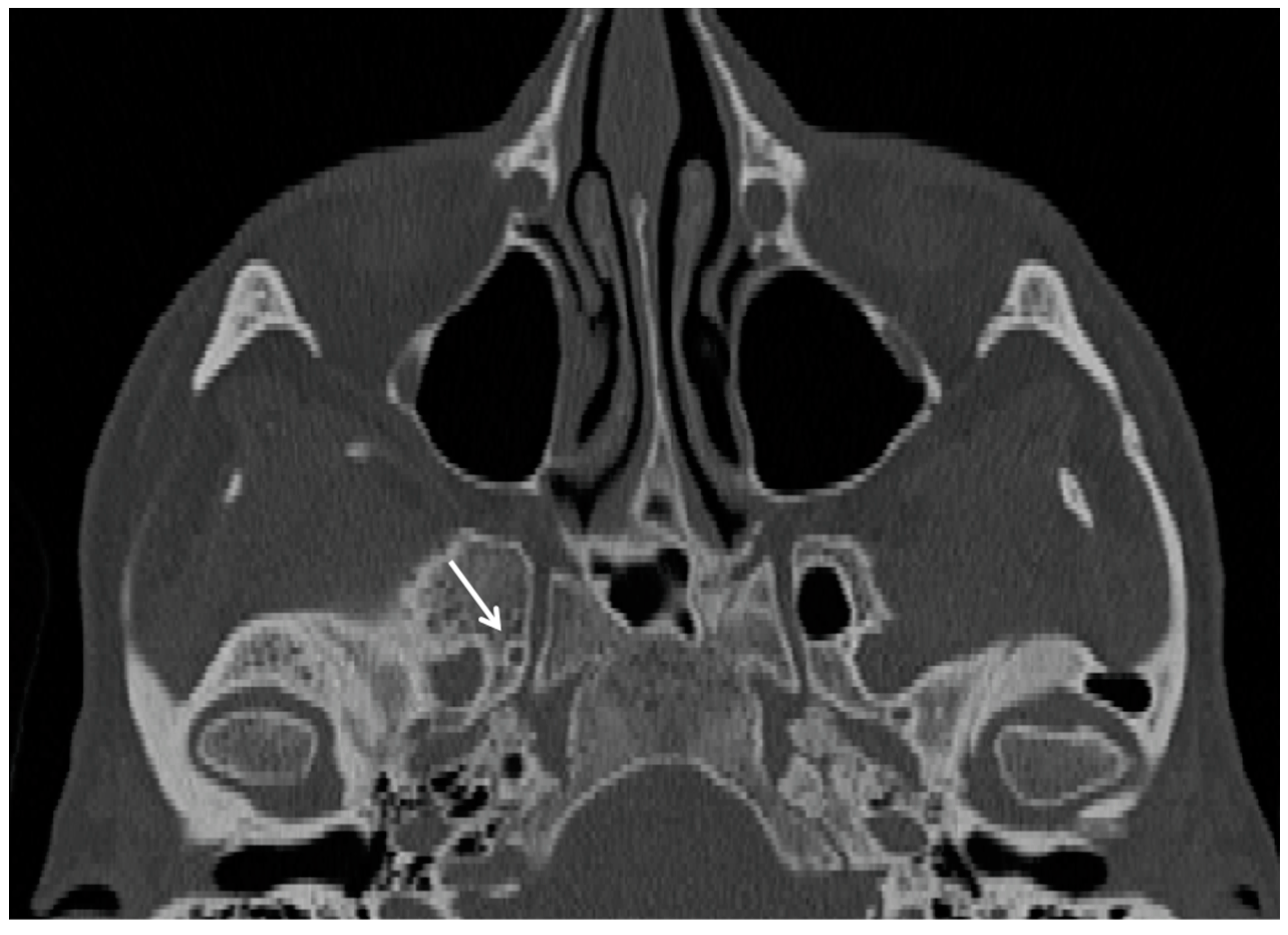 Cancers 15 05341 g002