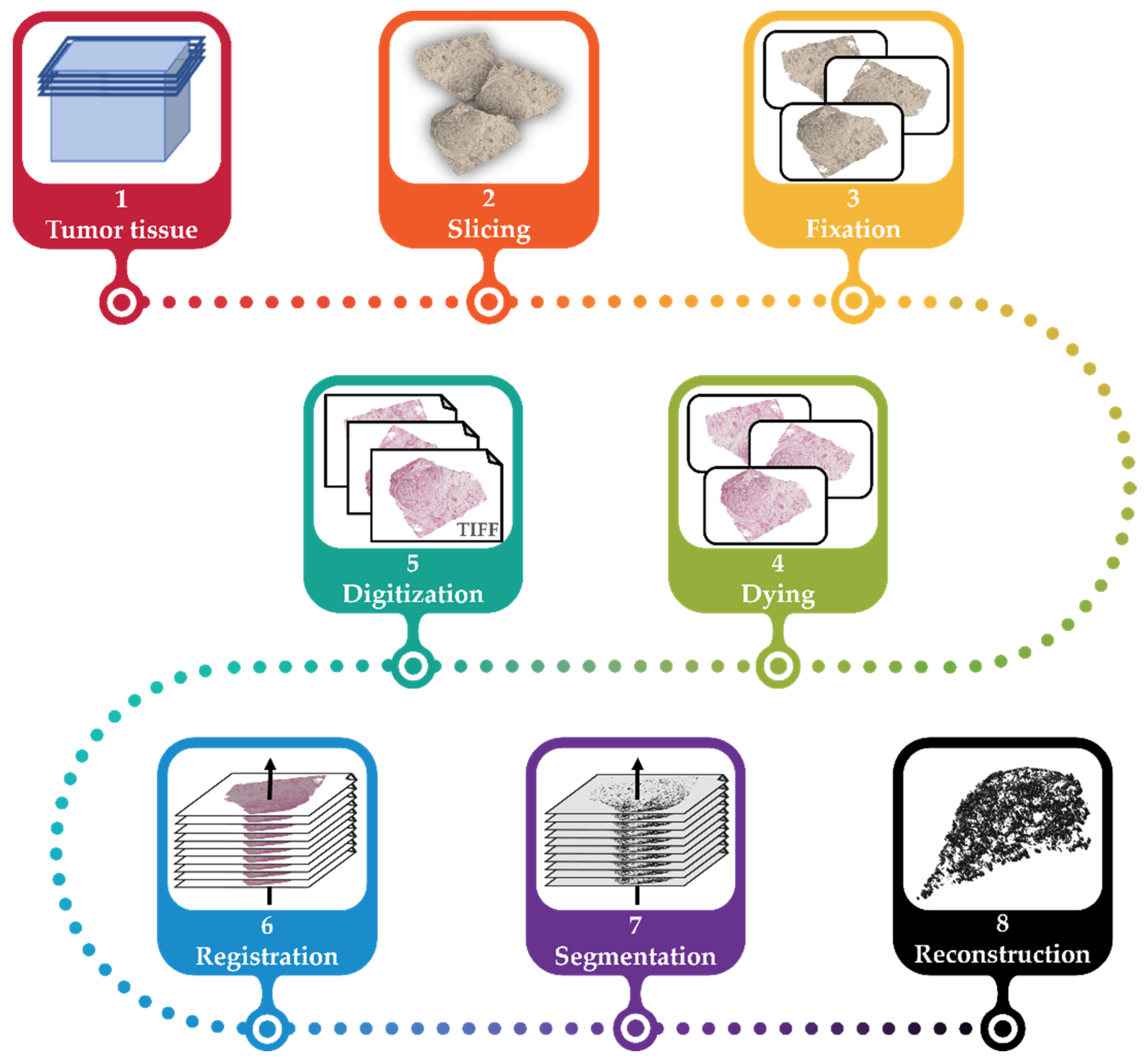 Cancers 15 05352 g001 Cancers 15 05352 g001