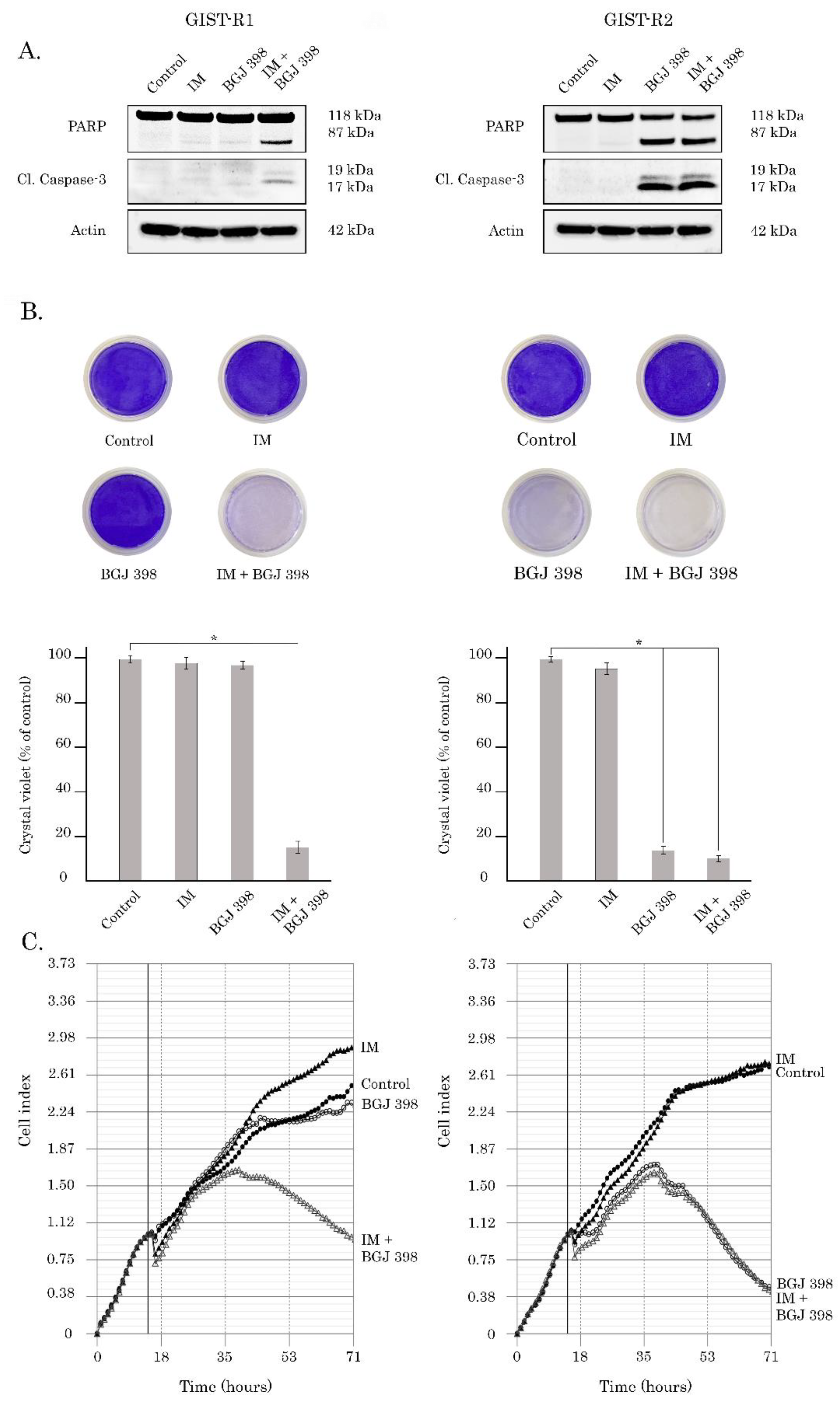 Cancers 15 05354 g002