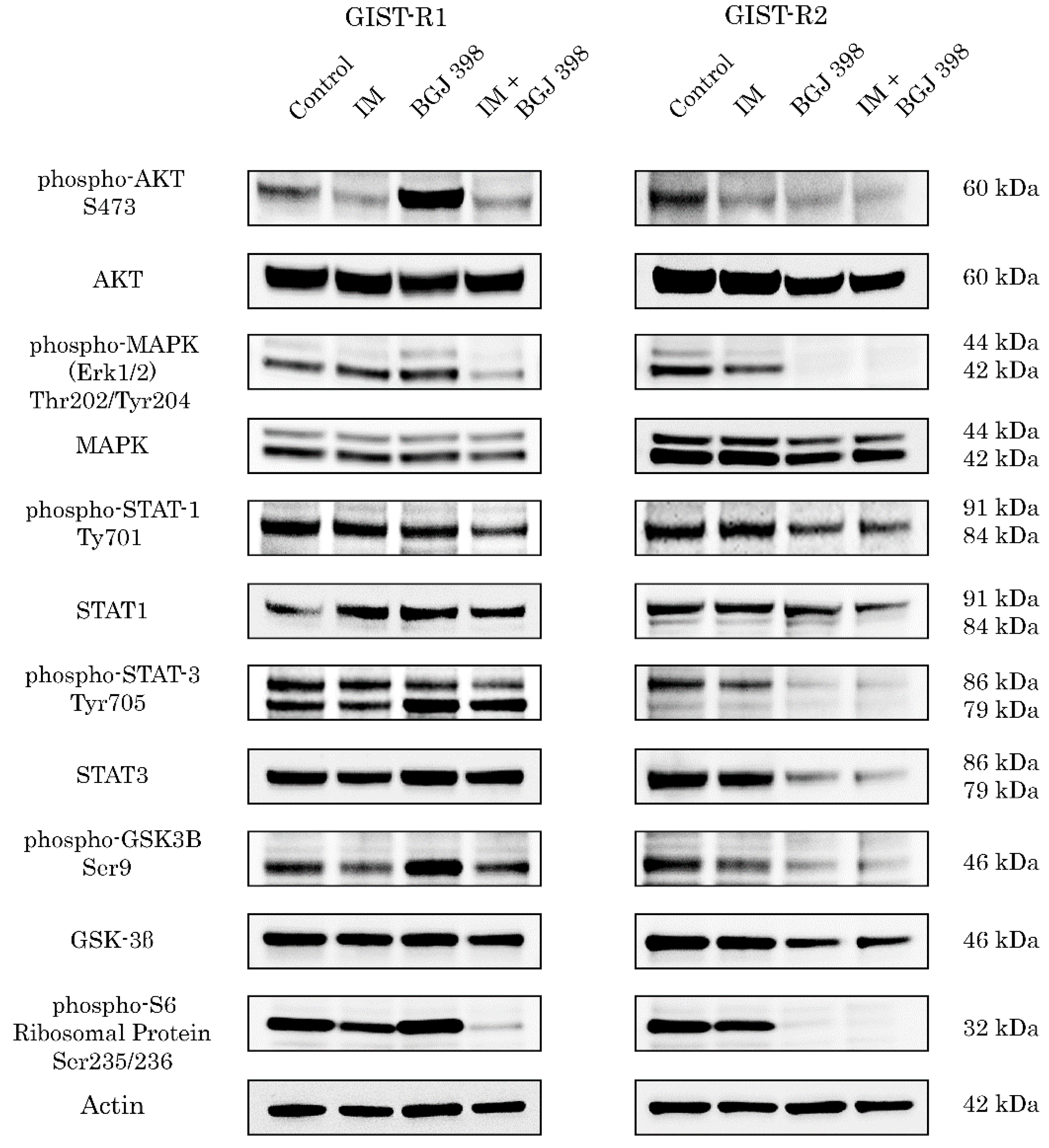 Cancers 15 05354 g003