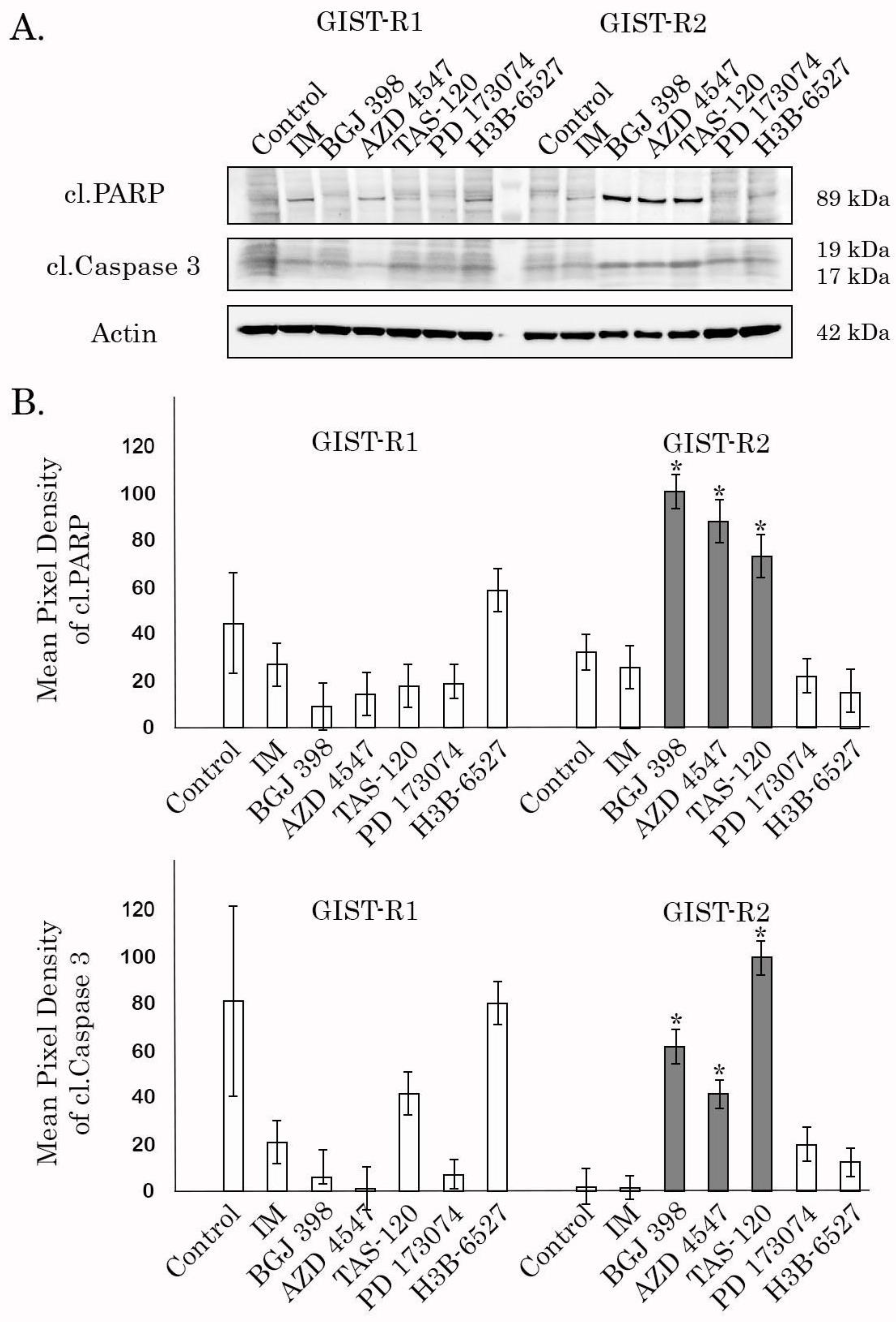 Cancers 15 05354 g004