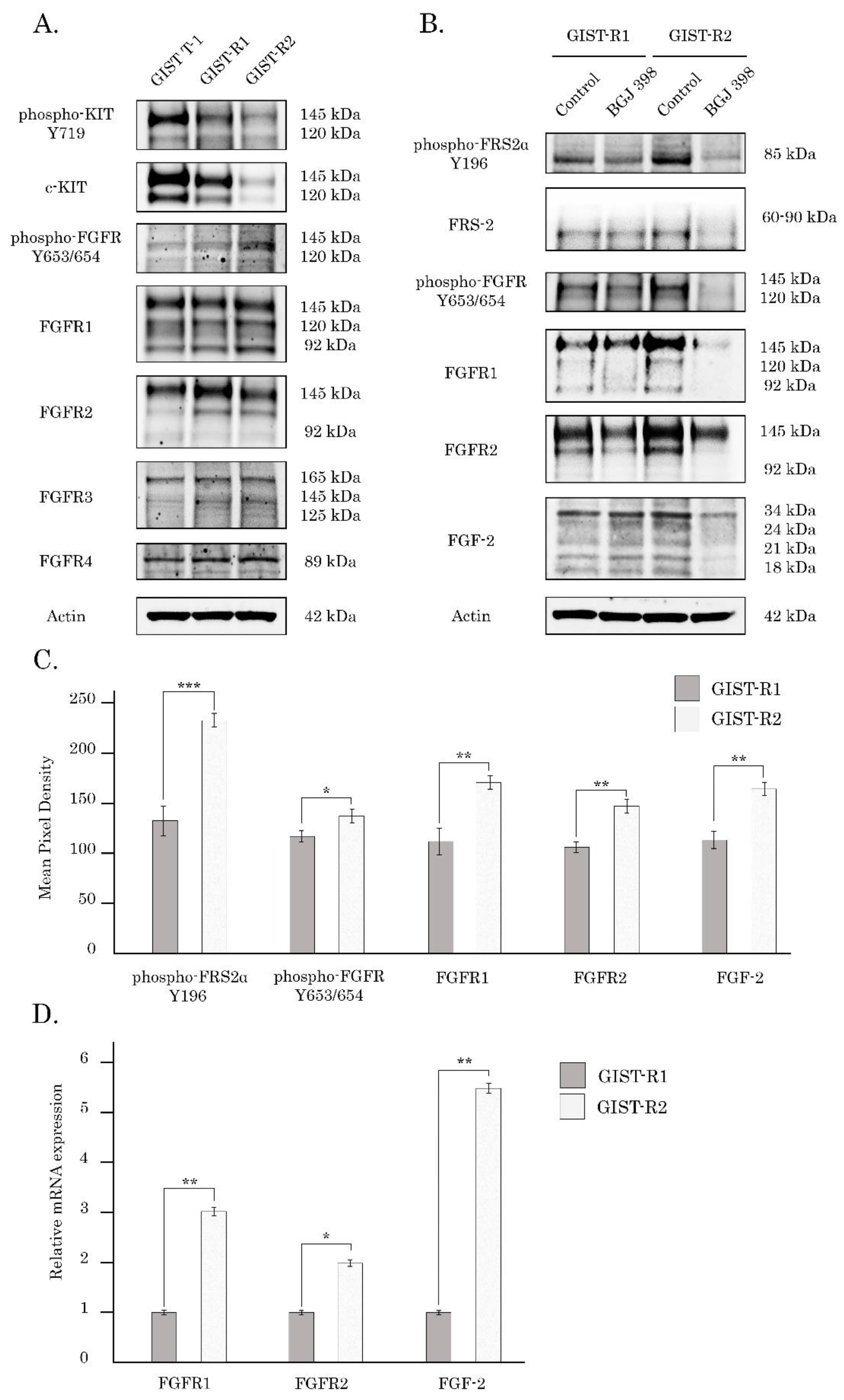 Cancers 15 05354 g008