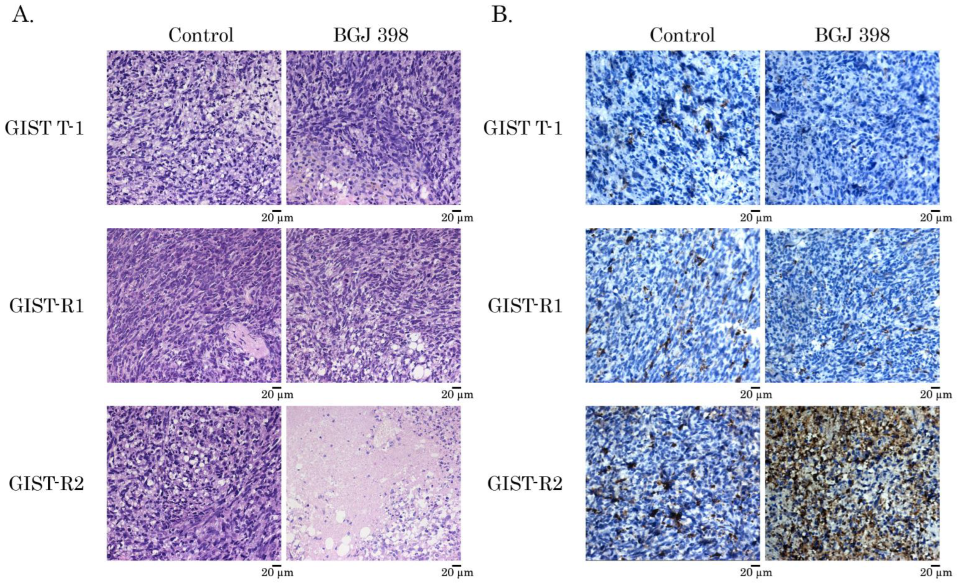 Cancers 15 05354 g010