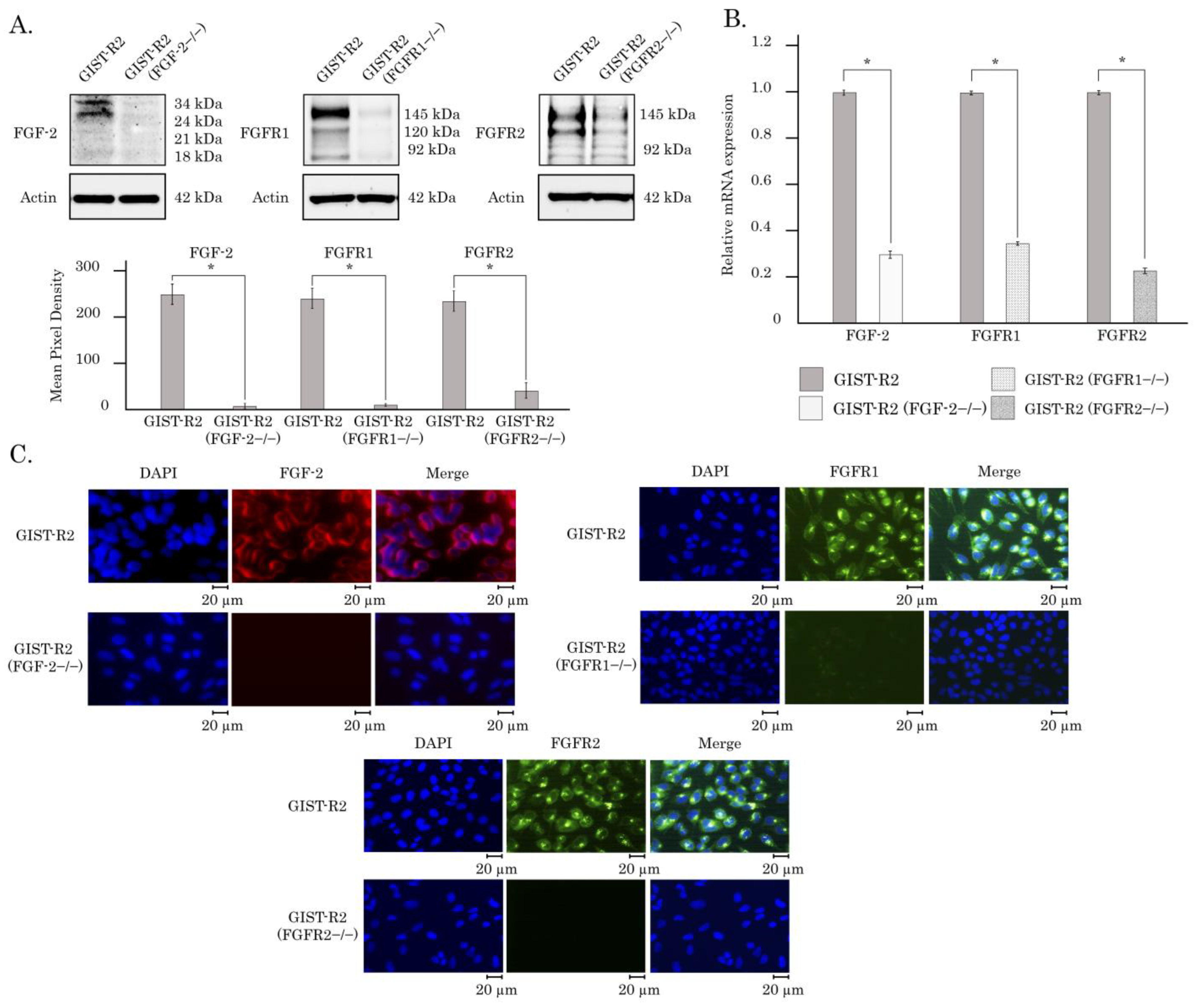 Cancers 15 05354 g011