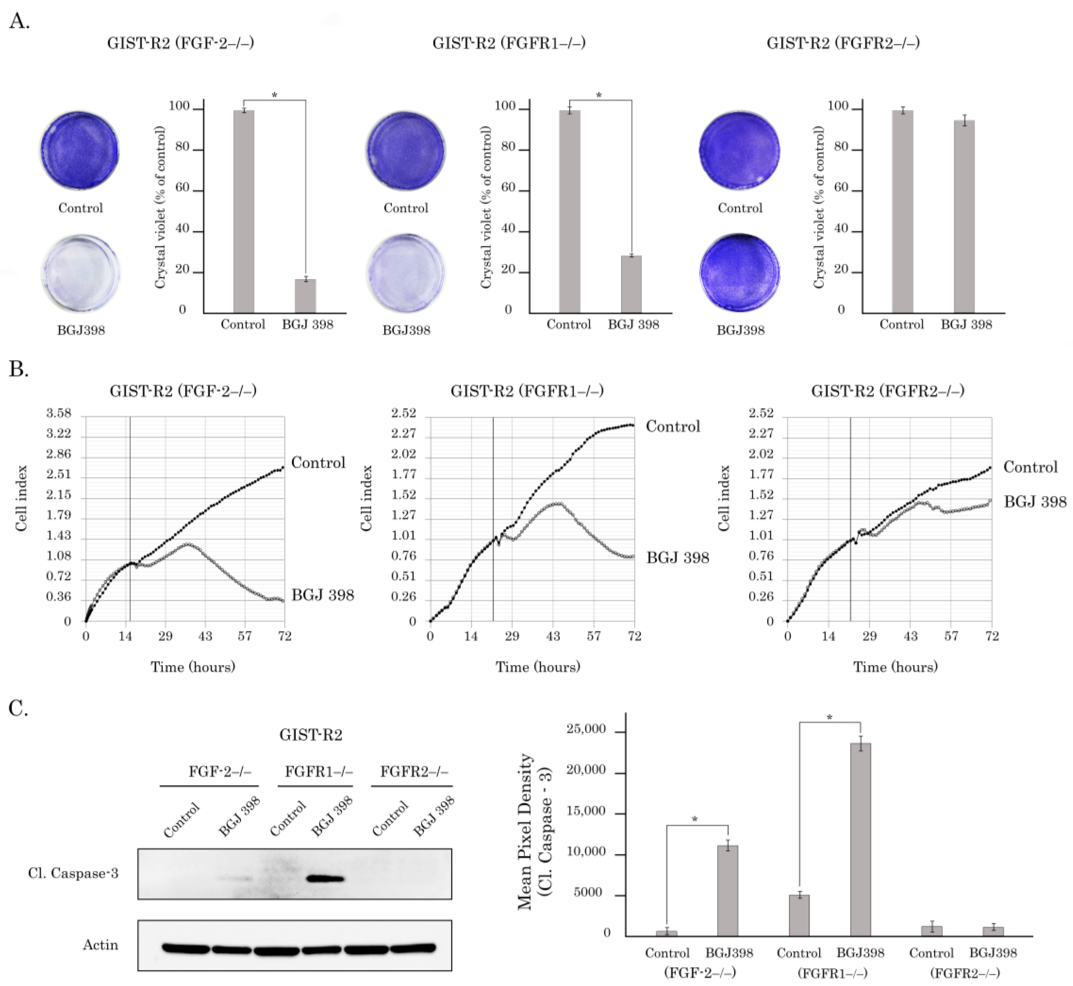 Cancers 15 05354 g012
