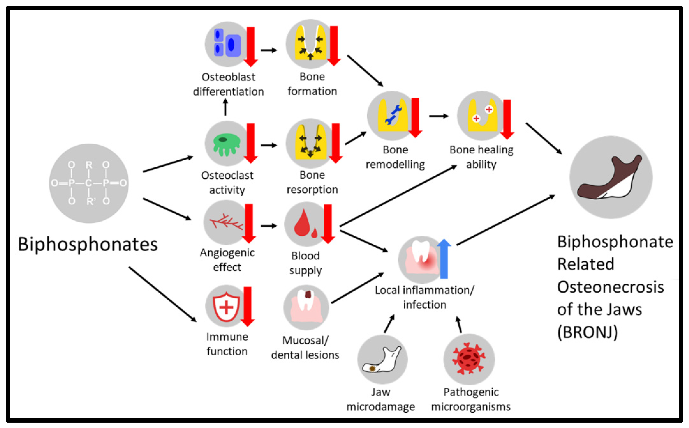 Cancers 15 05366 g002