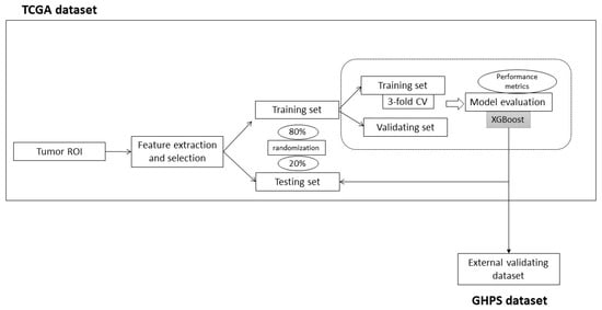 Cancers 15 05369 g002