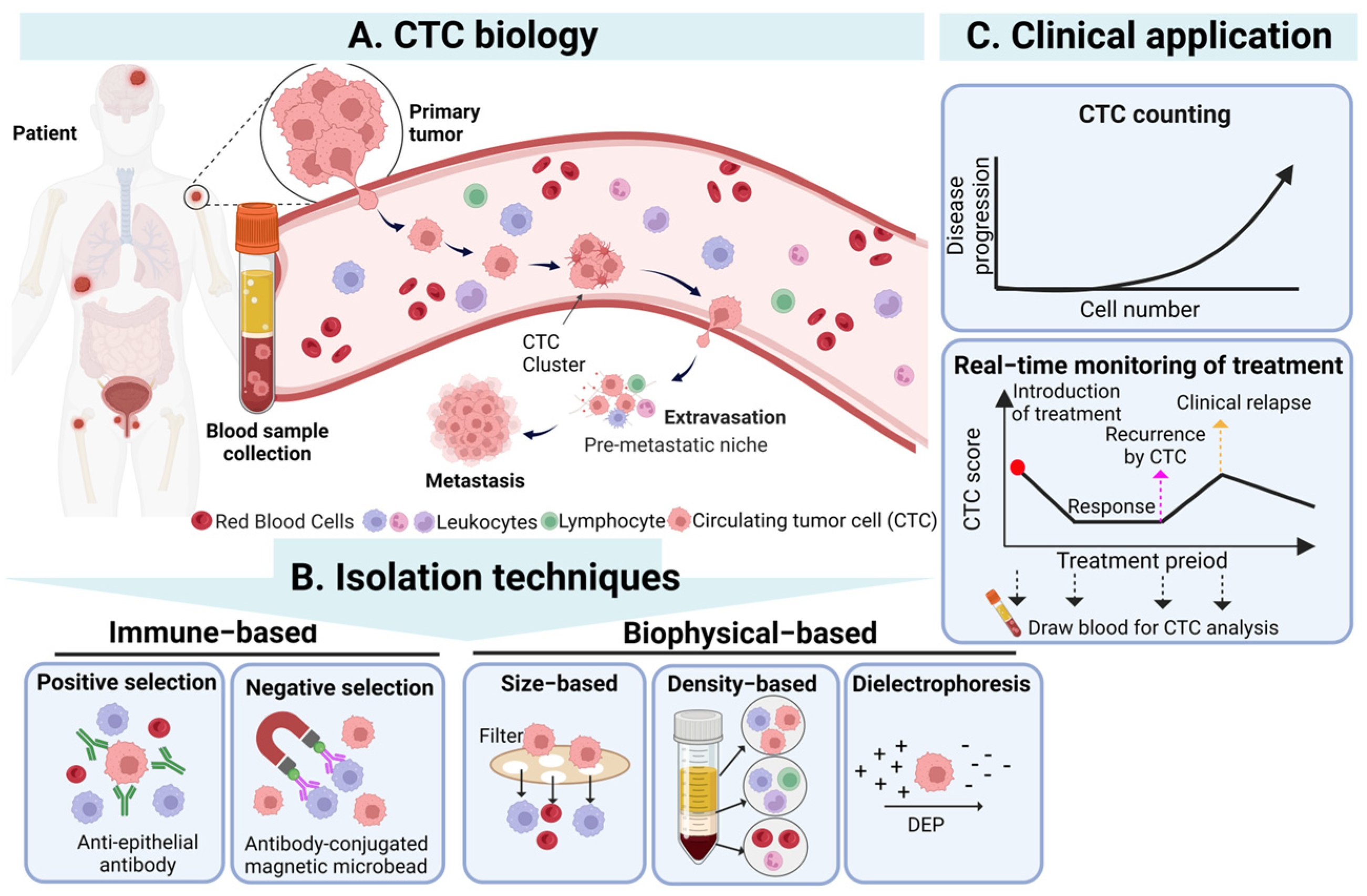 Cancers 15 05372 g001 Cancers 15 05372 g001