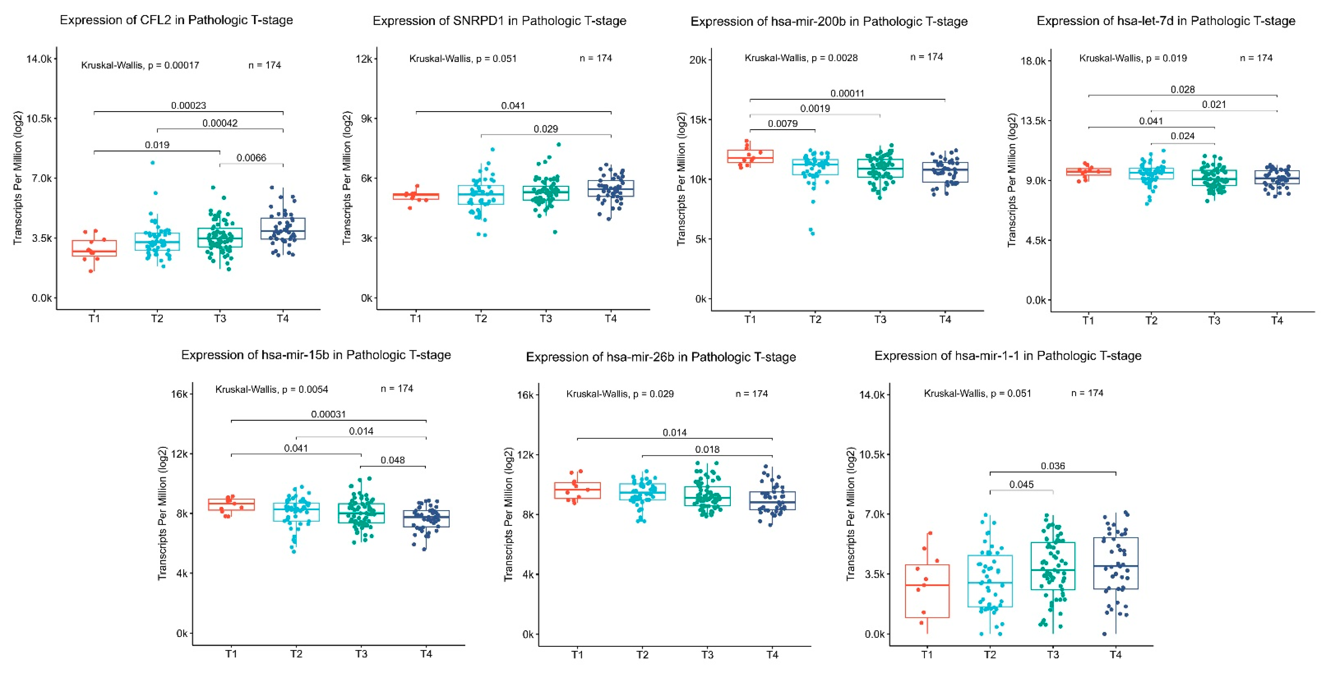 Cancers 15 05374 g008