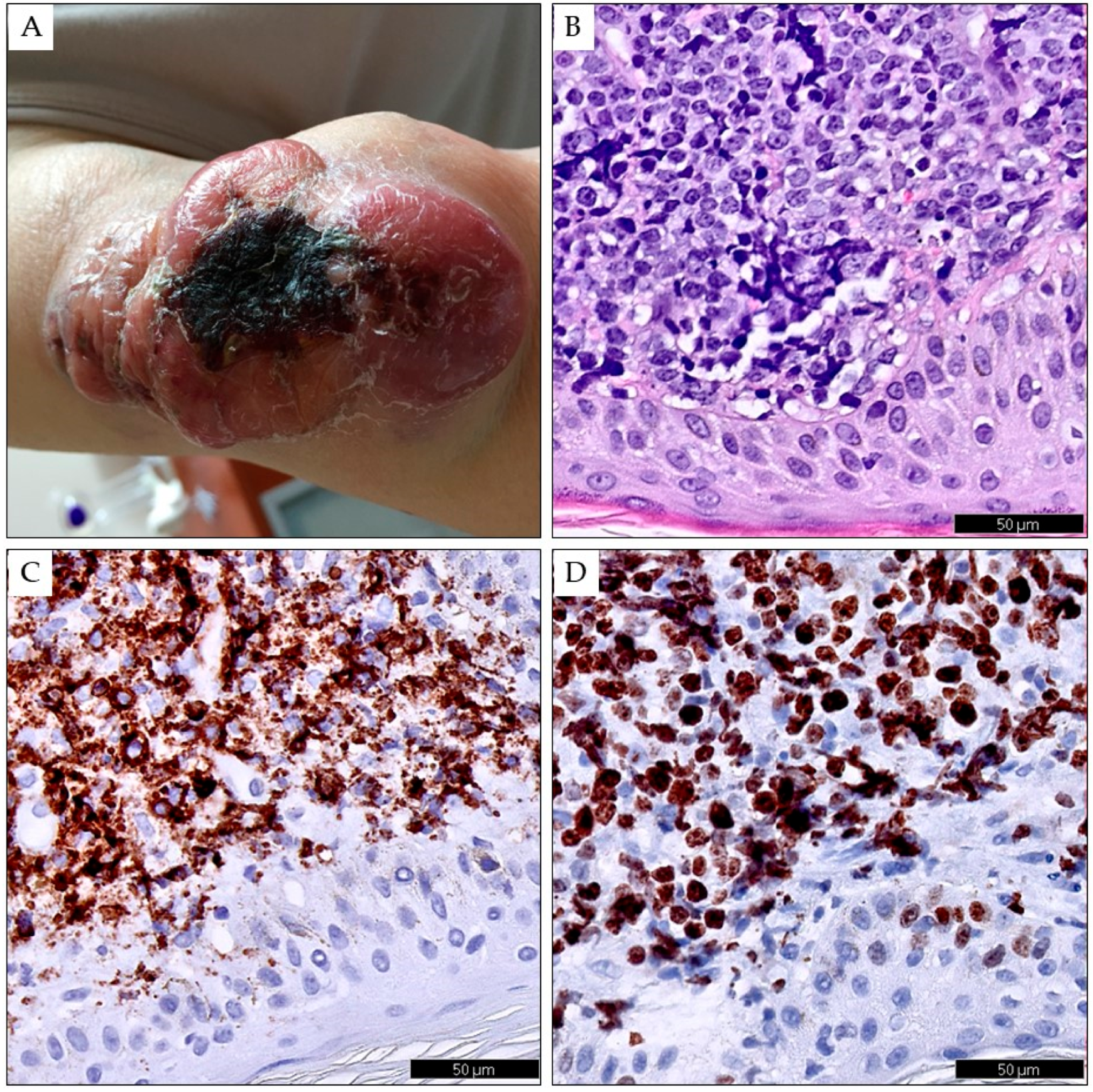 Cancers 15 05393 g002