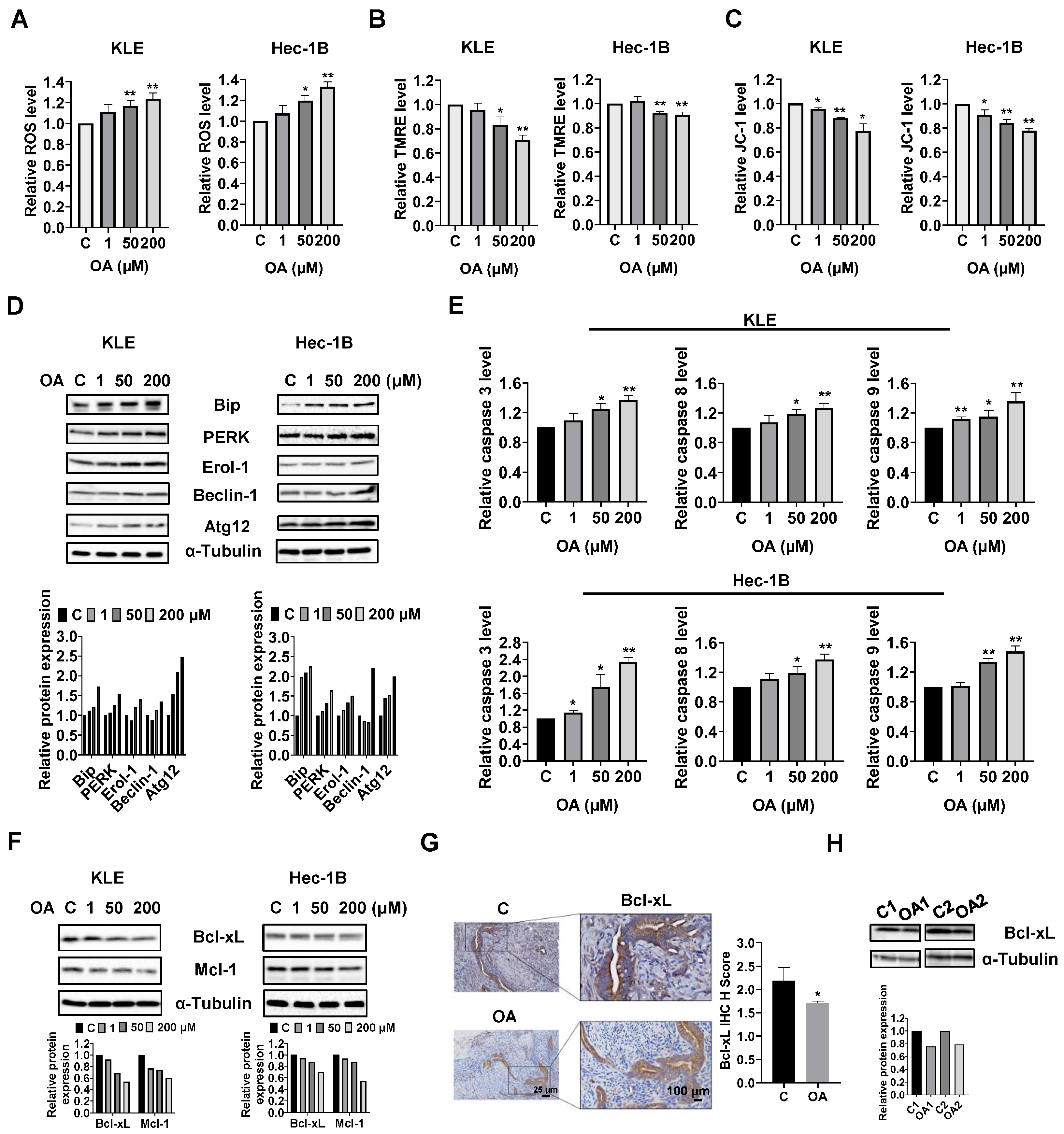Cancers 15 05407 g002