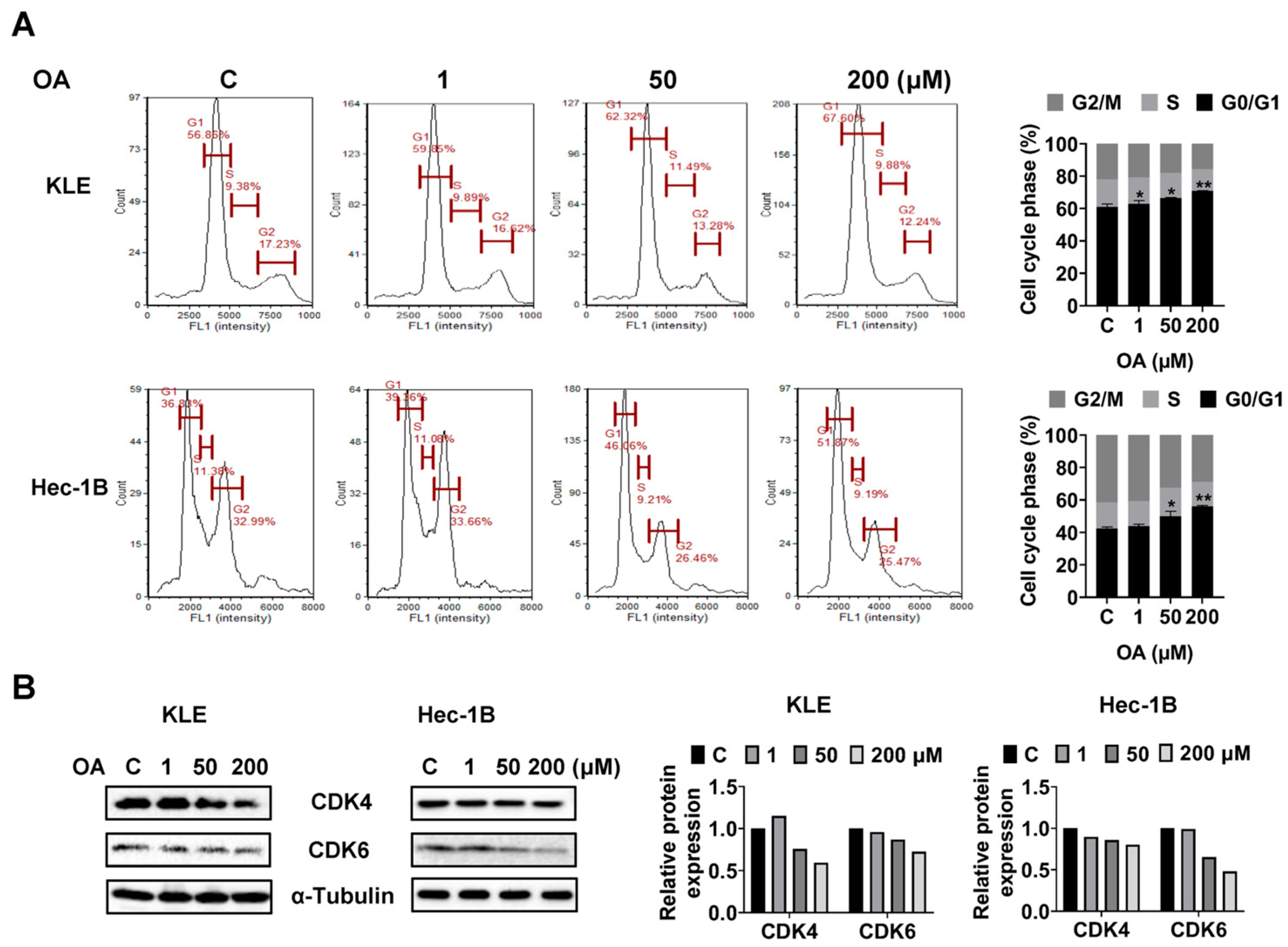 Cancers 15 05407 g003