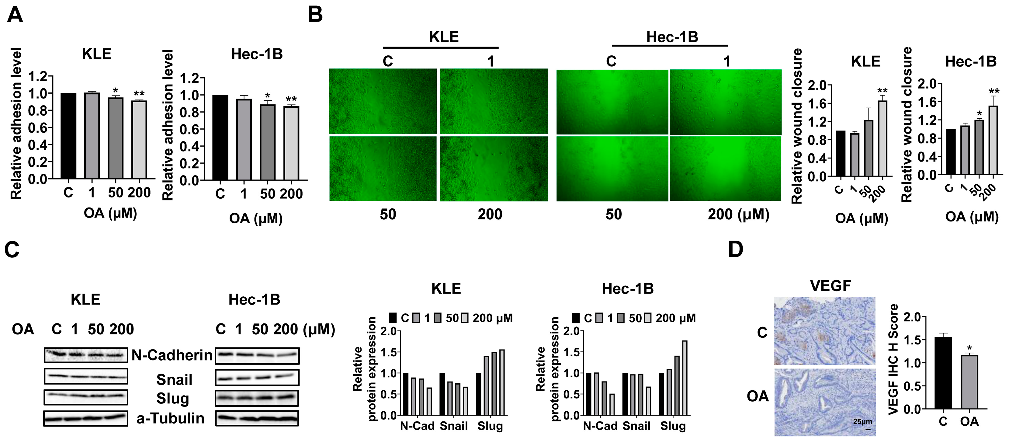 Cancers 15 05407 g004