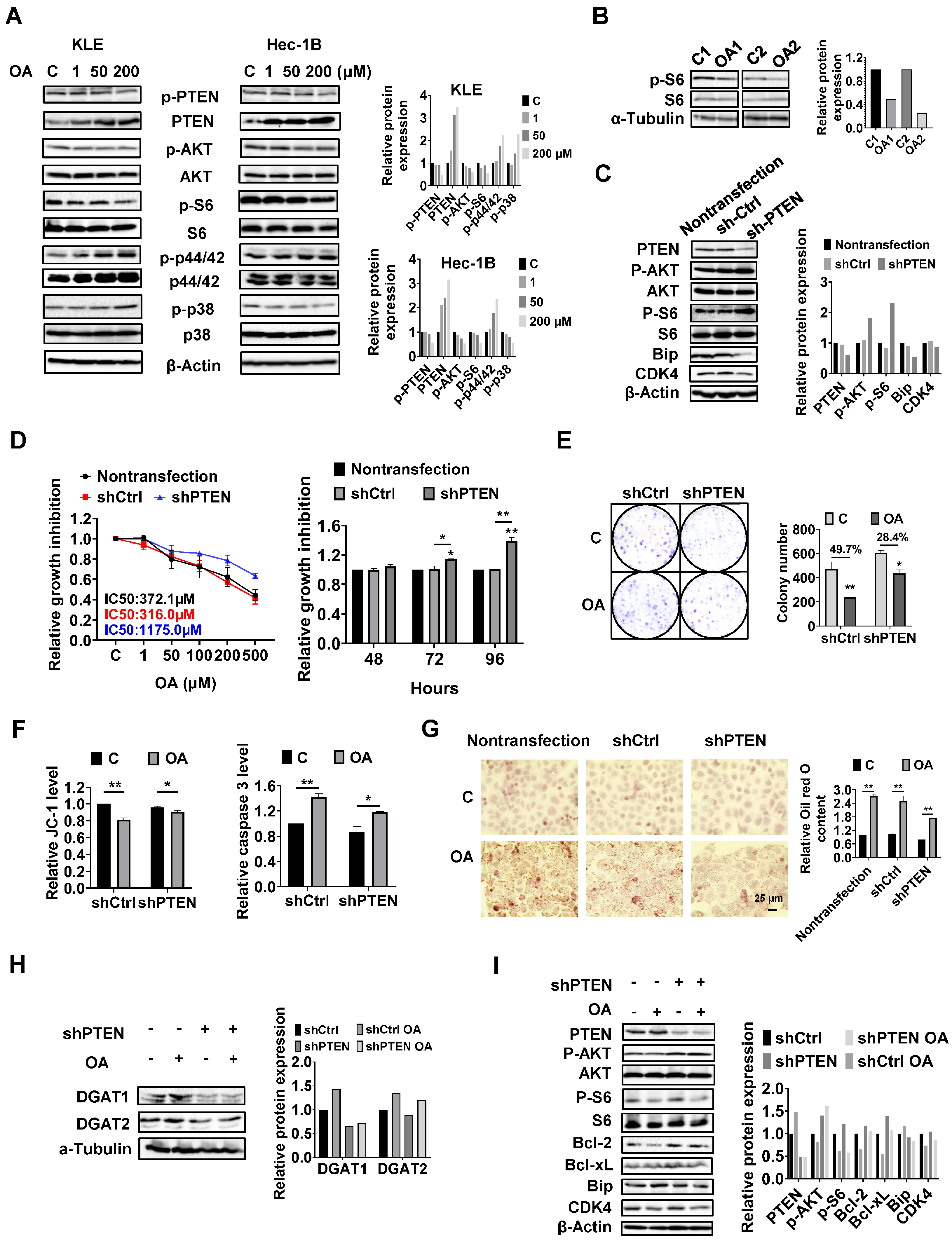 Cancers 15 05407 g006