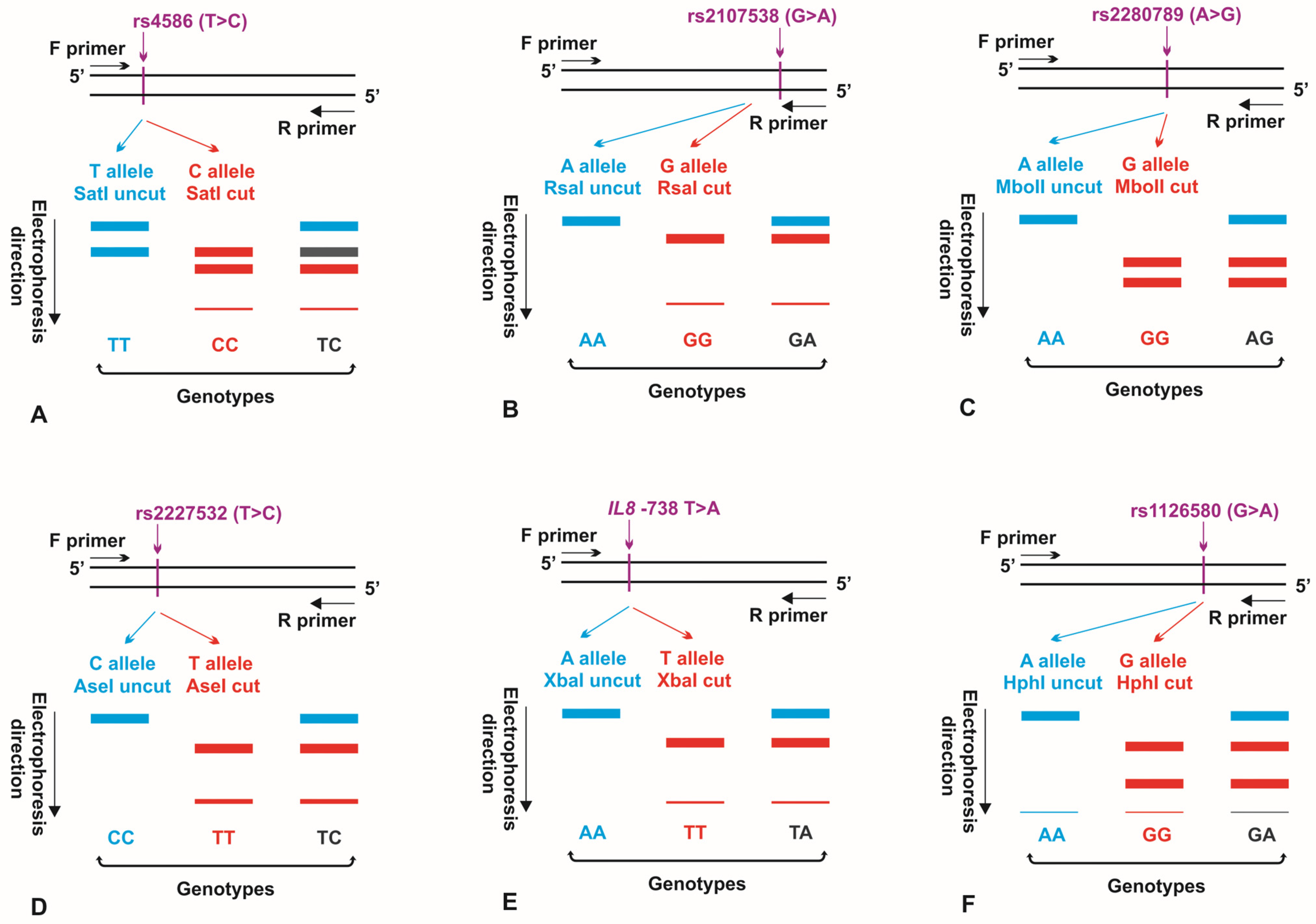 Cancers 15 05416 g001
