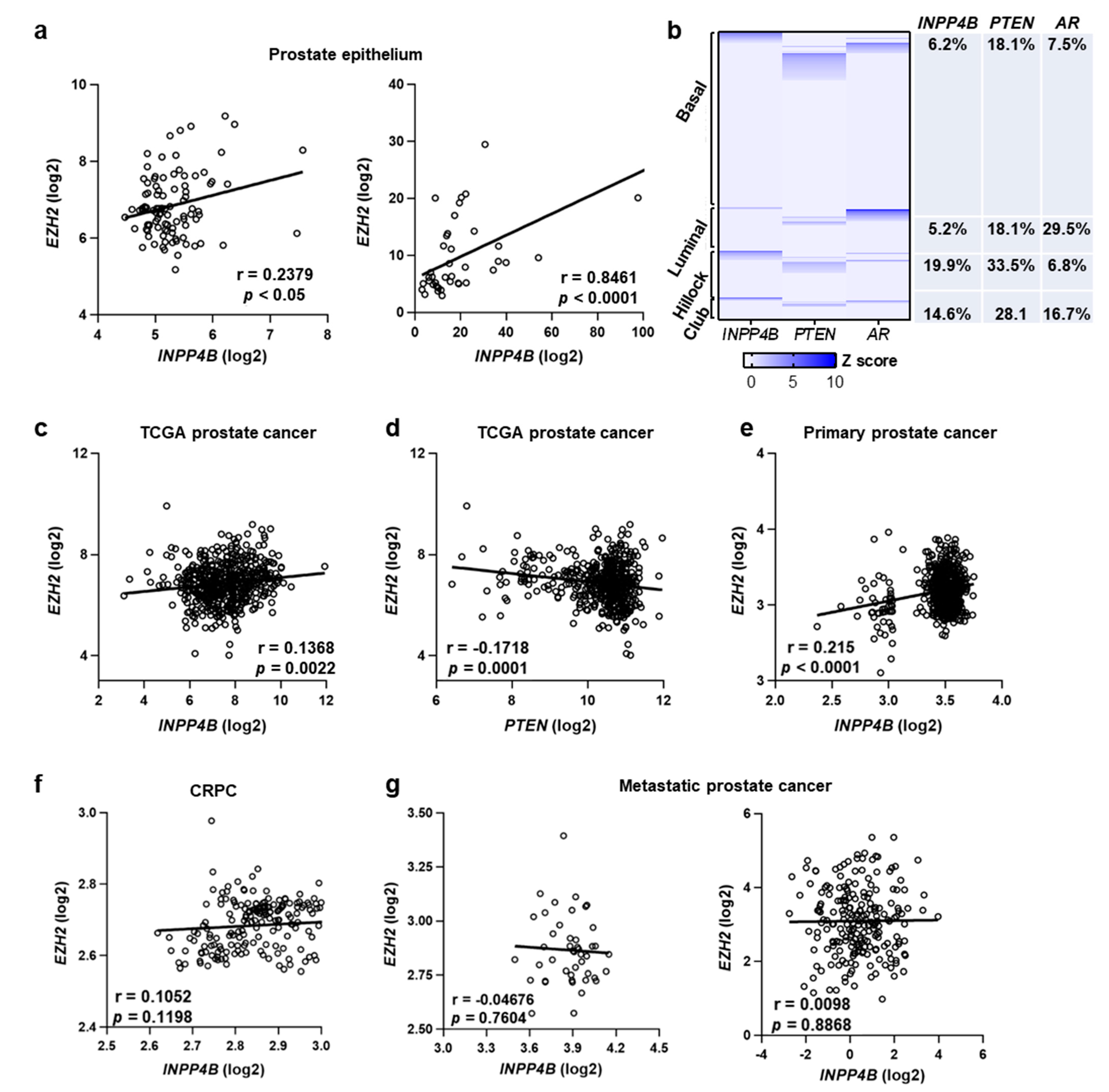 Cancers 15 05418 g002