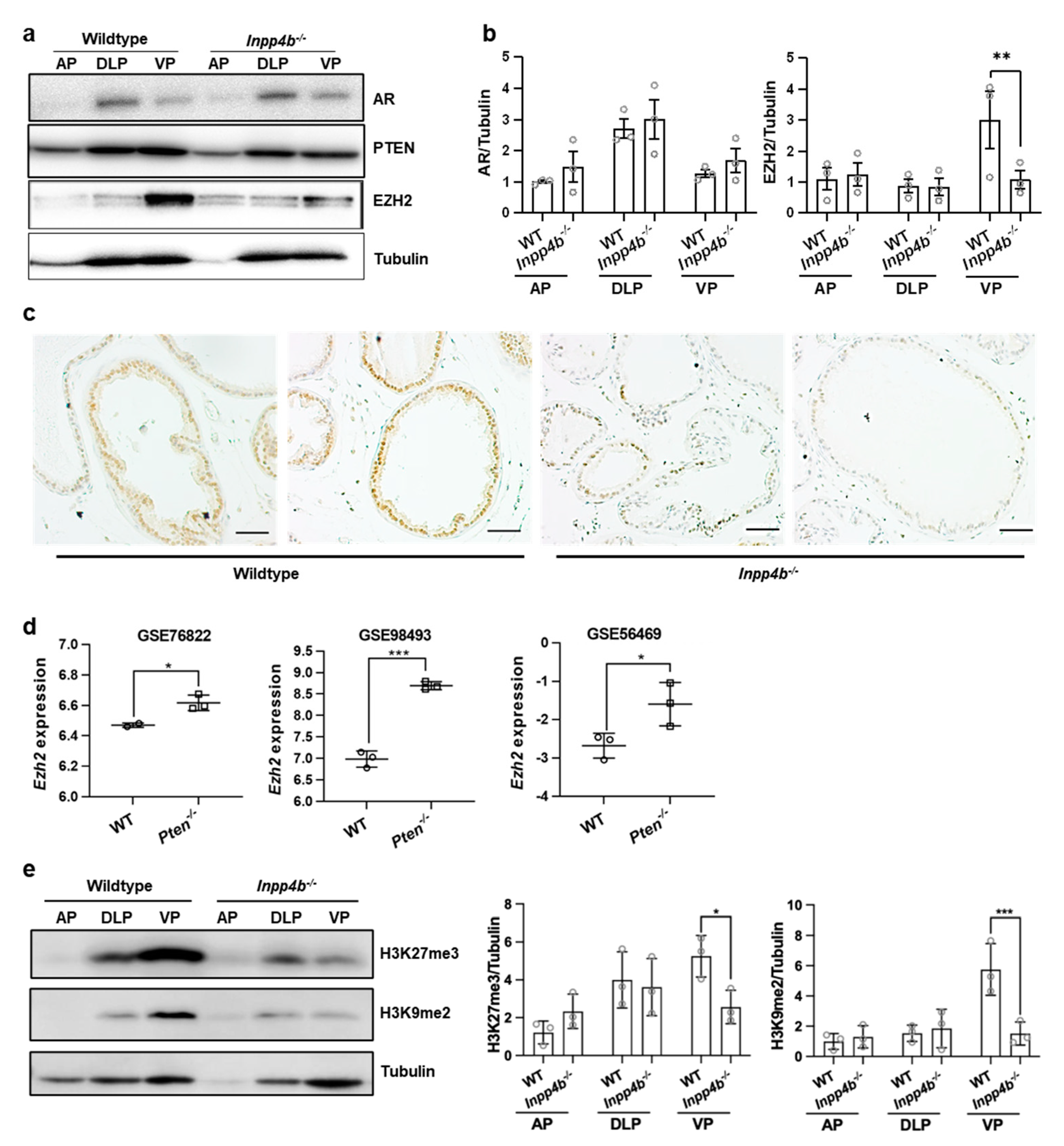 Cancers 15 05418 g004