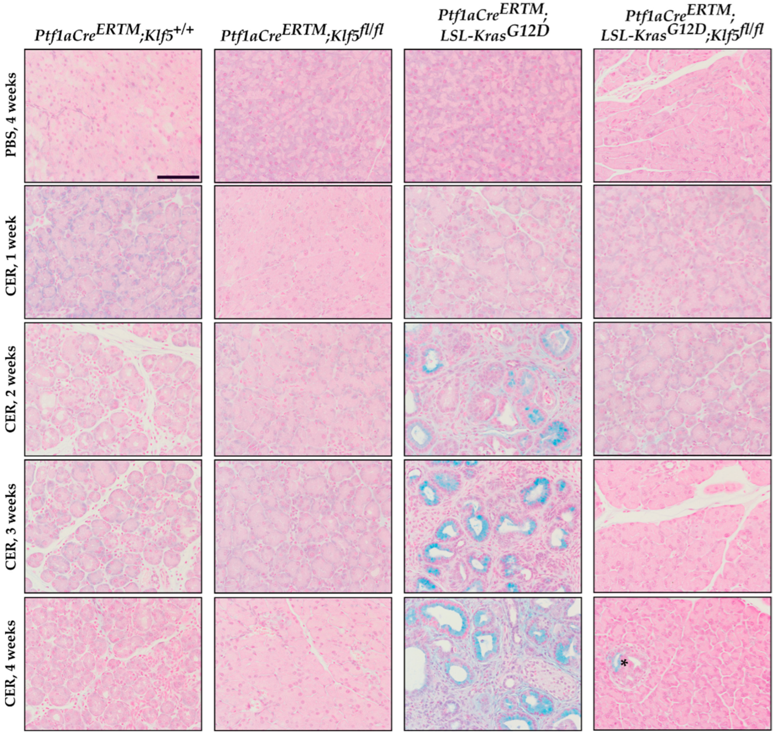 Cancers 15 05427 g006