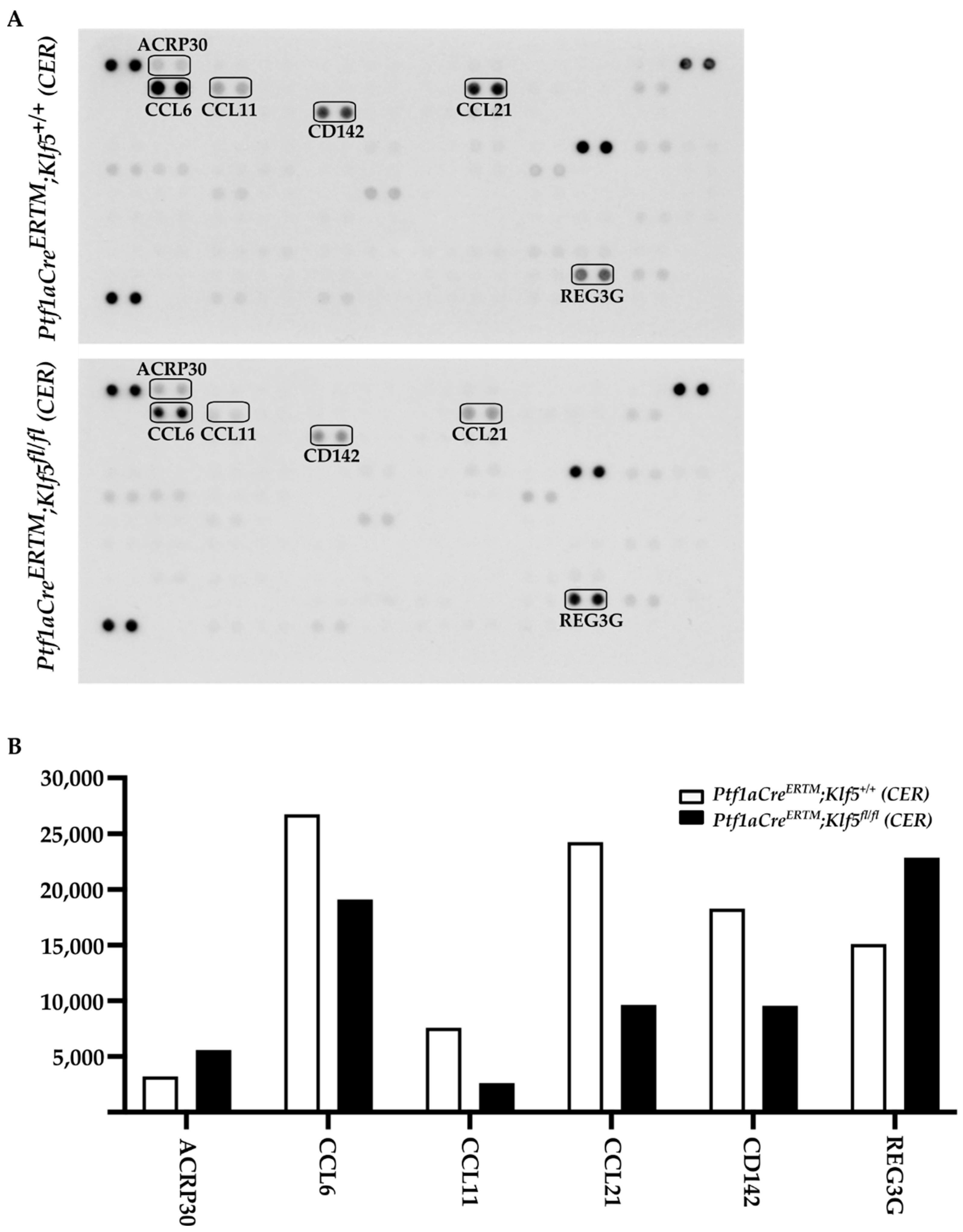 Cancers 15 05427 g011
