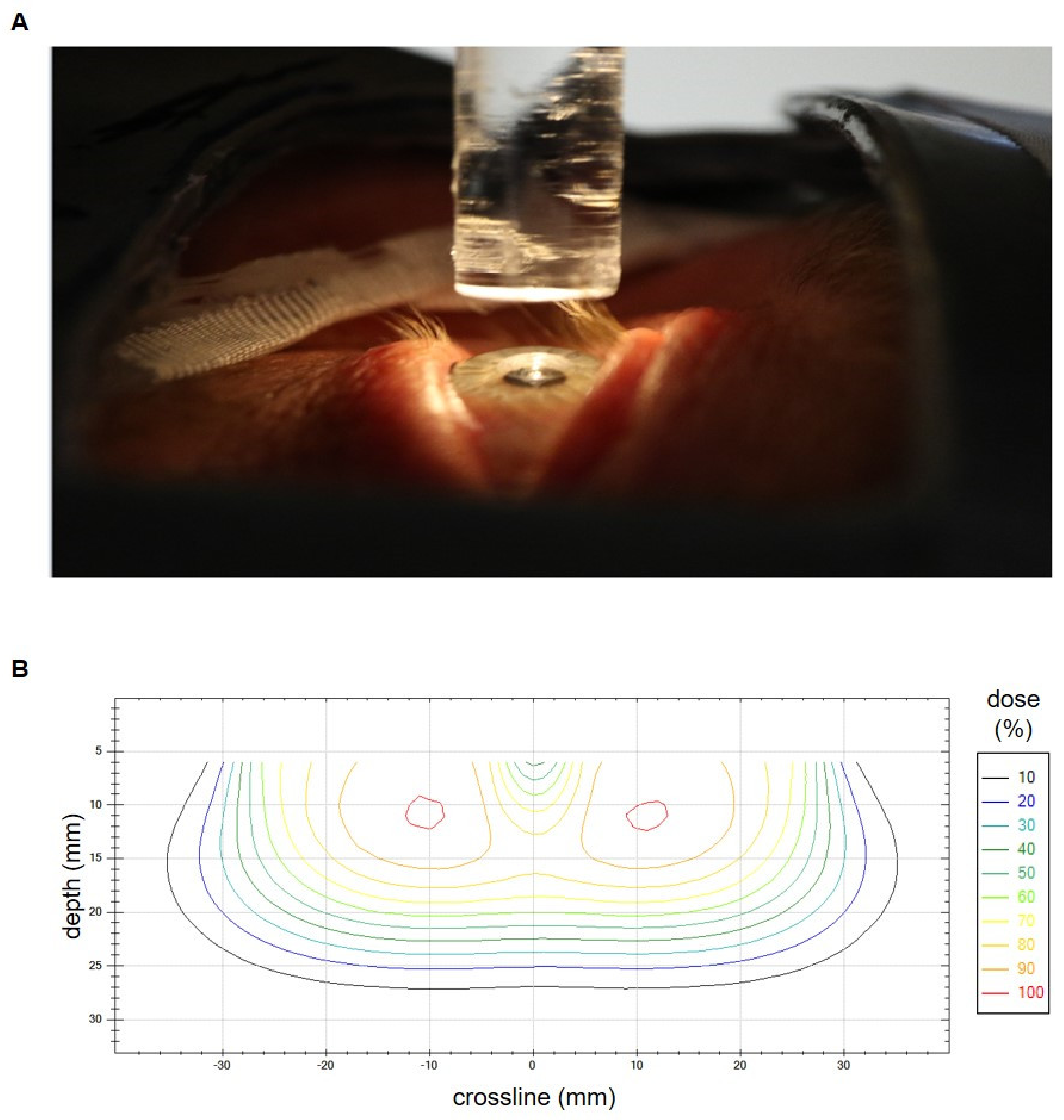 Cancers 15 05433 g001