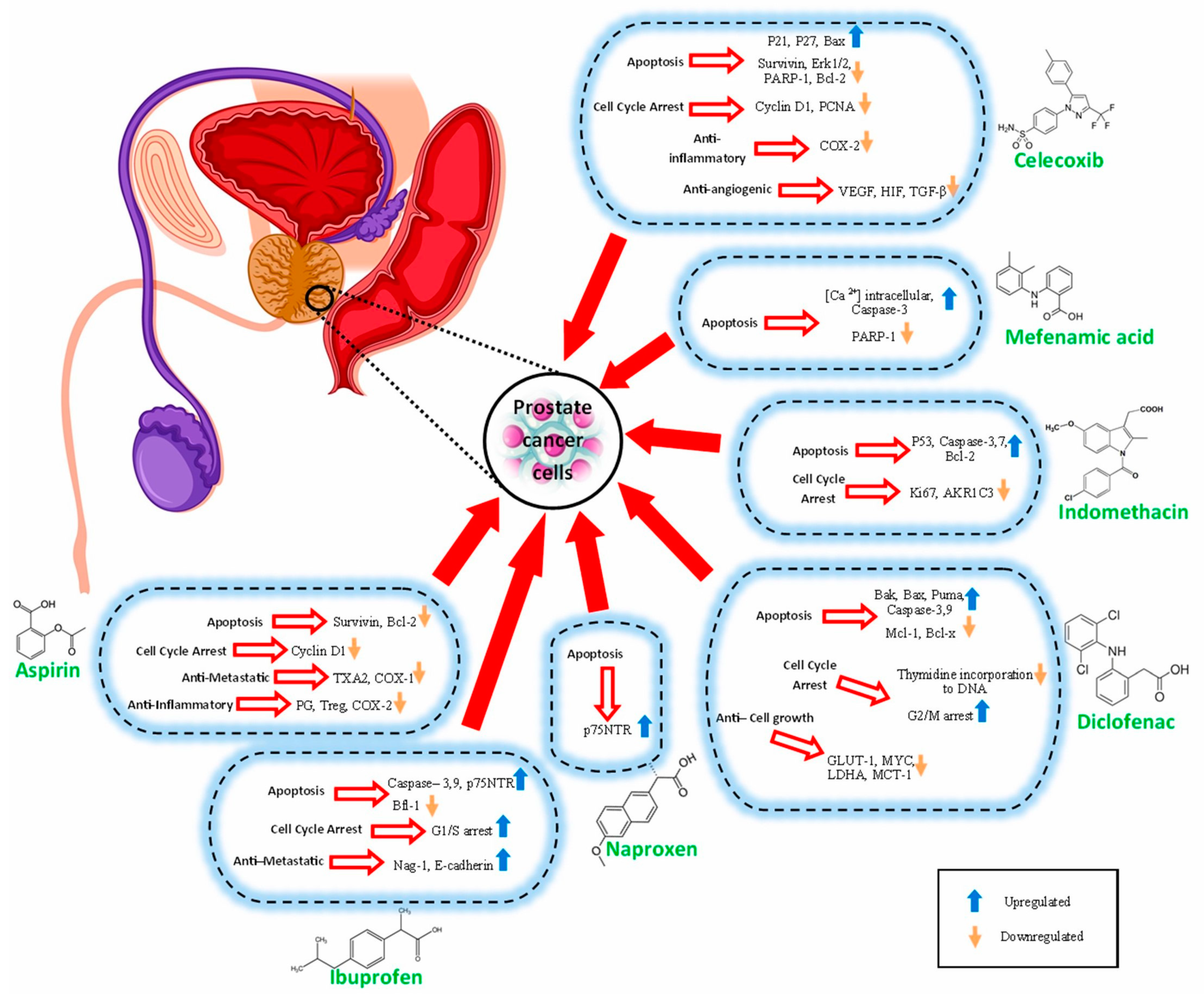 Cancers 15 05435 g002