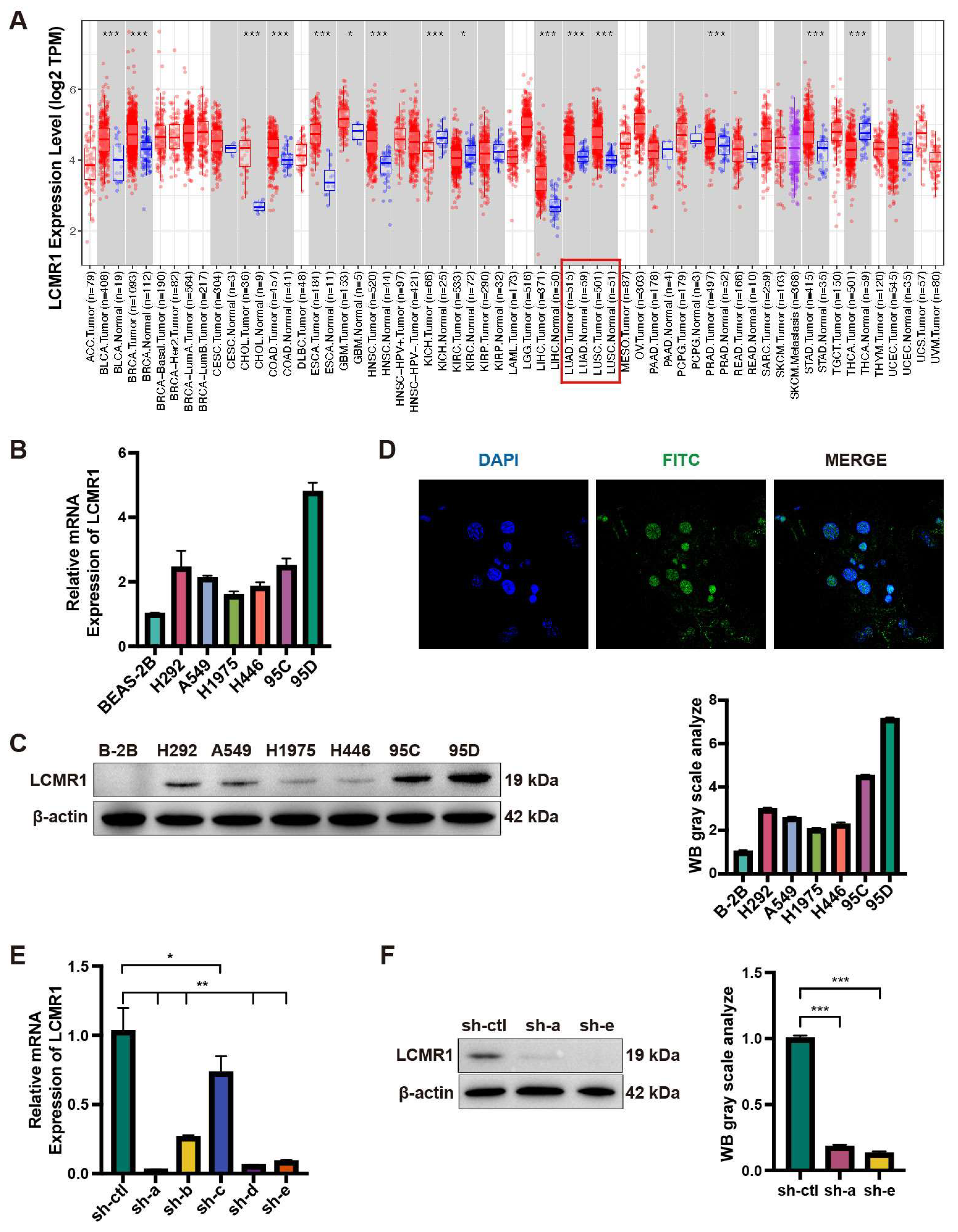 Cancers 15 05445 g001