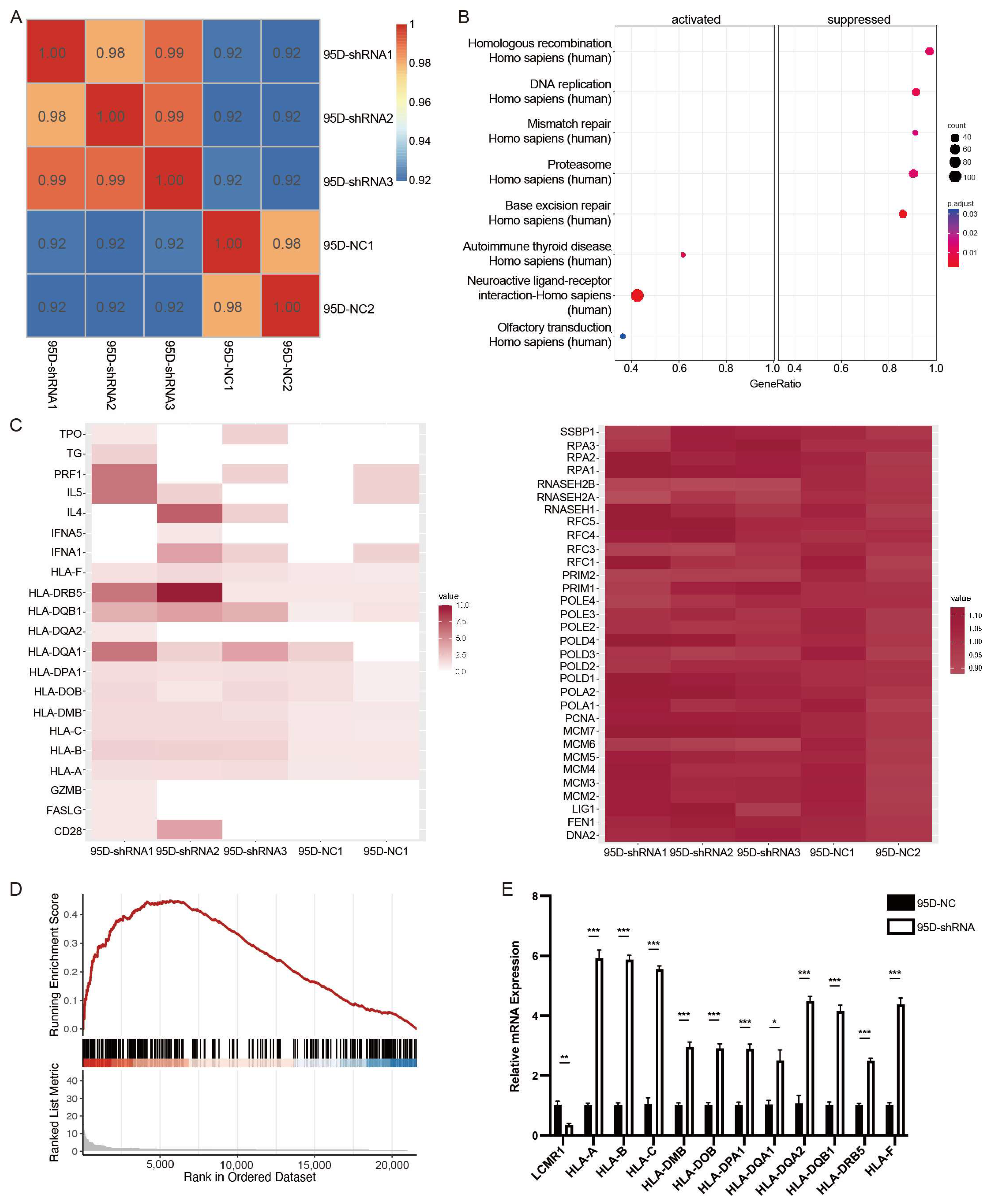 Cancers 15 05445 g004